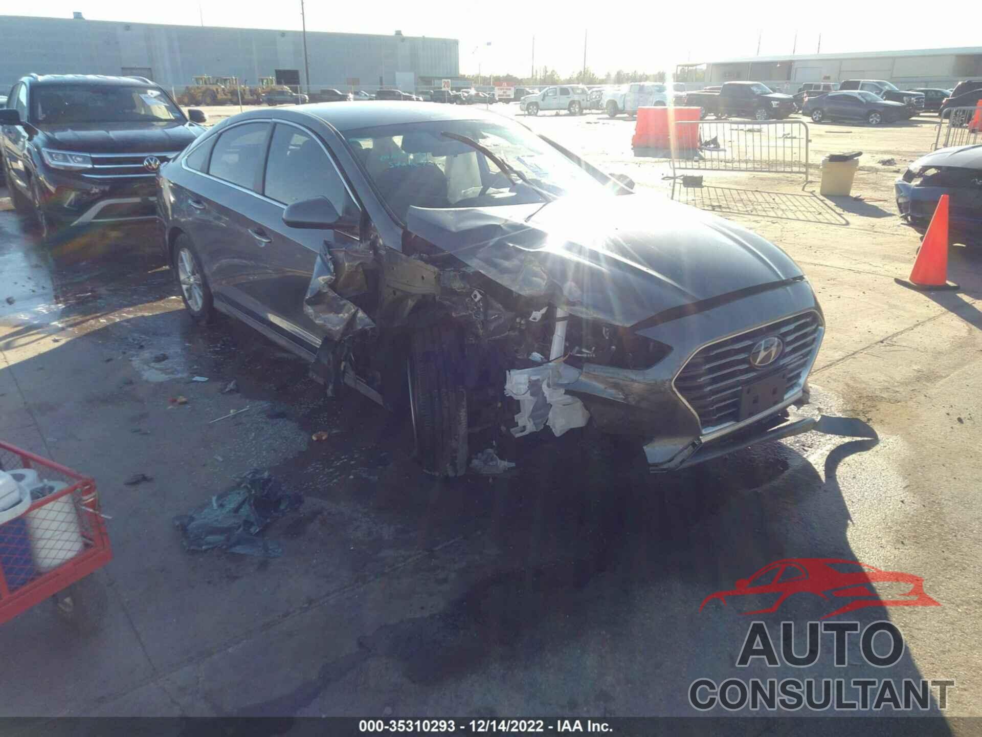 HYUNDAI SONATA 2019 - 5NPE24AF3KH762688