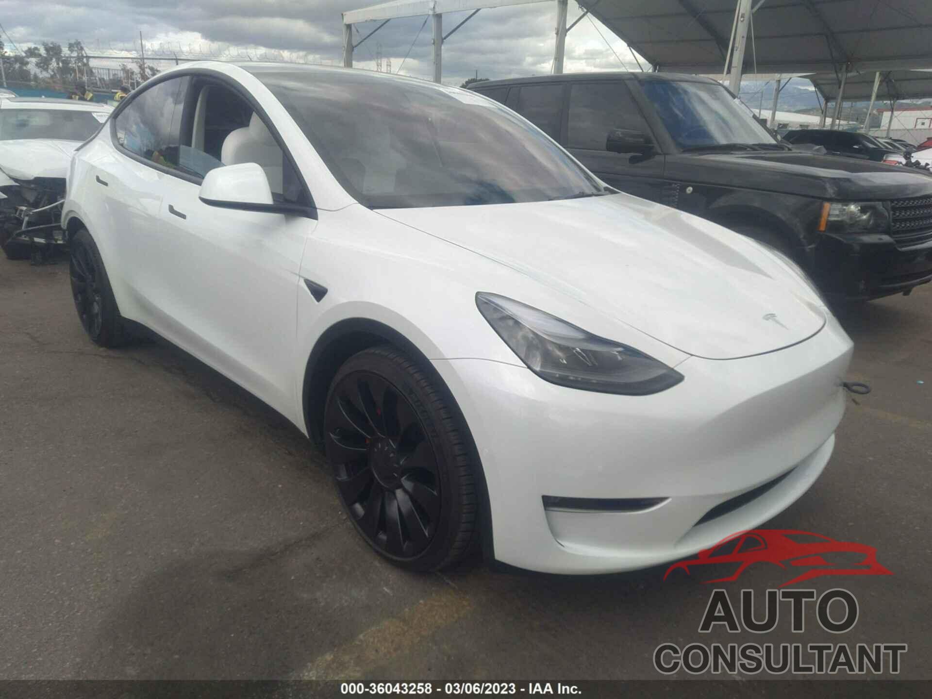 TESLA MODEL Y 2022 - 7SAYGDEF8NF403724