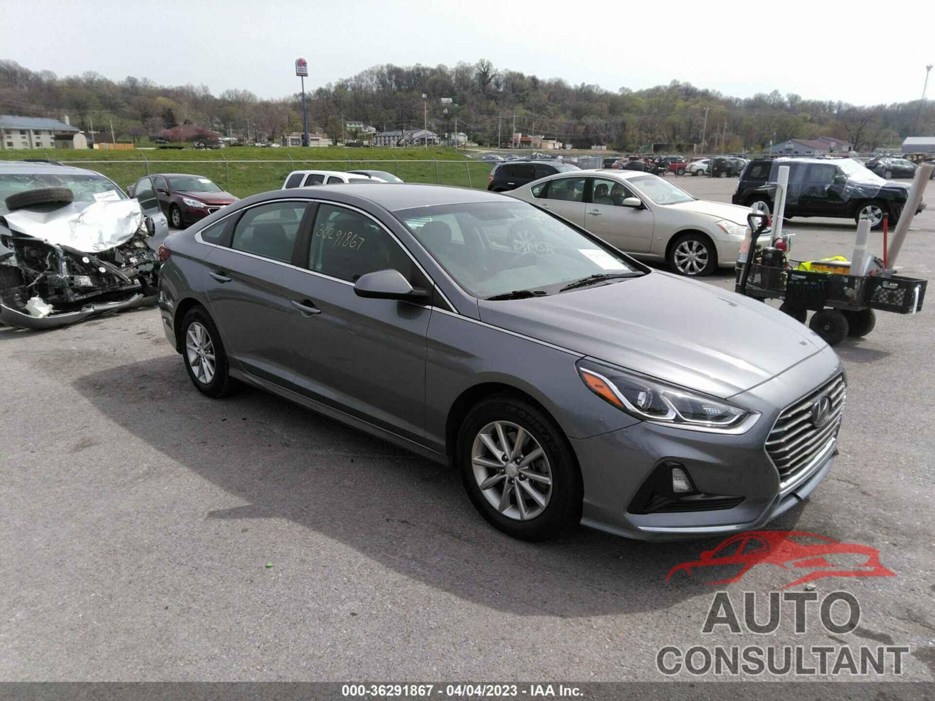 HYUNDAI SONATA 2019 - 5NPE24AF7KH759809
