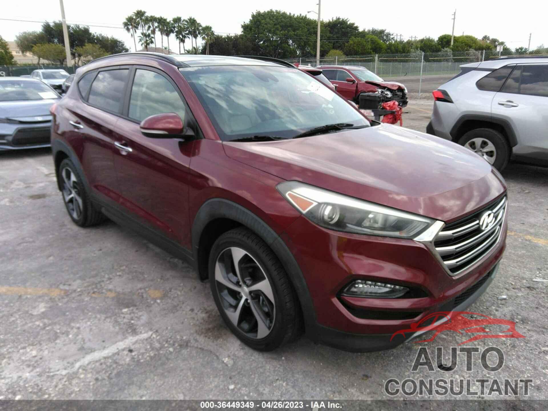 HYUNDAI TUCSON 2016 - KM8J33A24GU024555