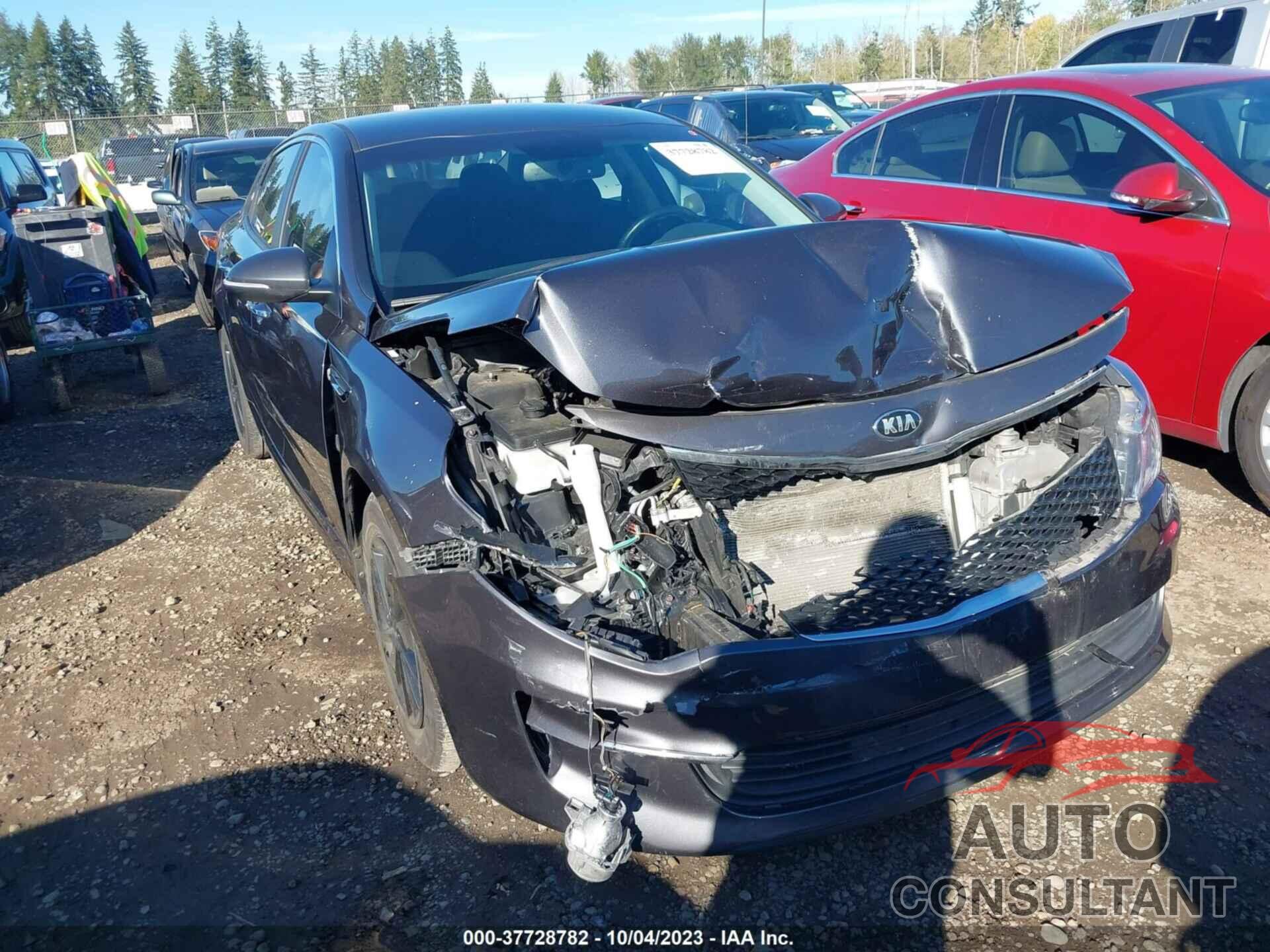 KIA OPTIMA 2016 - 5XXGT4L12GG058492