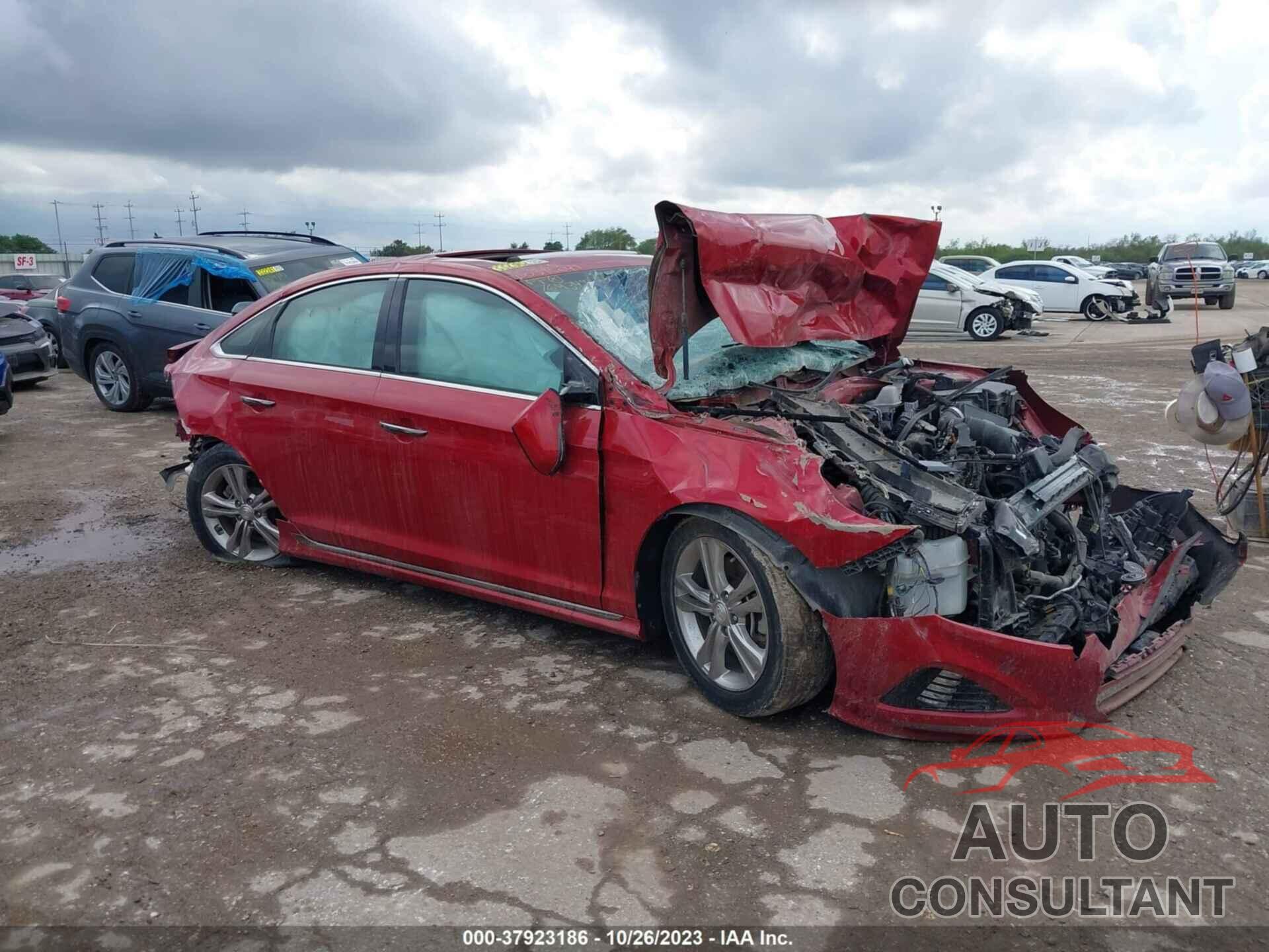 HYUNDAI SONATA 2019 - 5NPE34AF6KH764349
