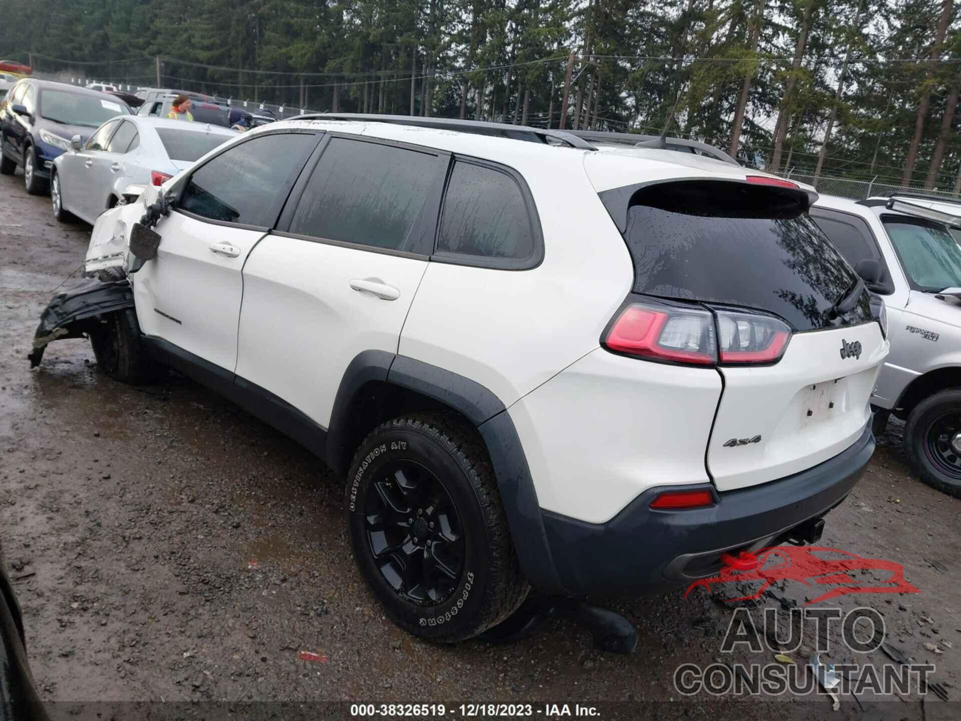 JEEP CHEROKEE 2019 - 1C4PJMBX6KD124492