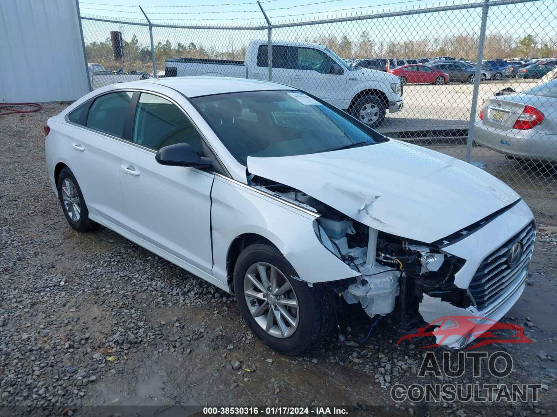 HYUNDAI SONATA 2019 - 5NPE24AF4KH744474