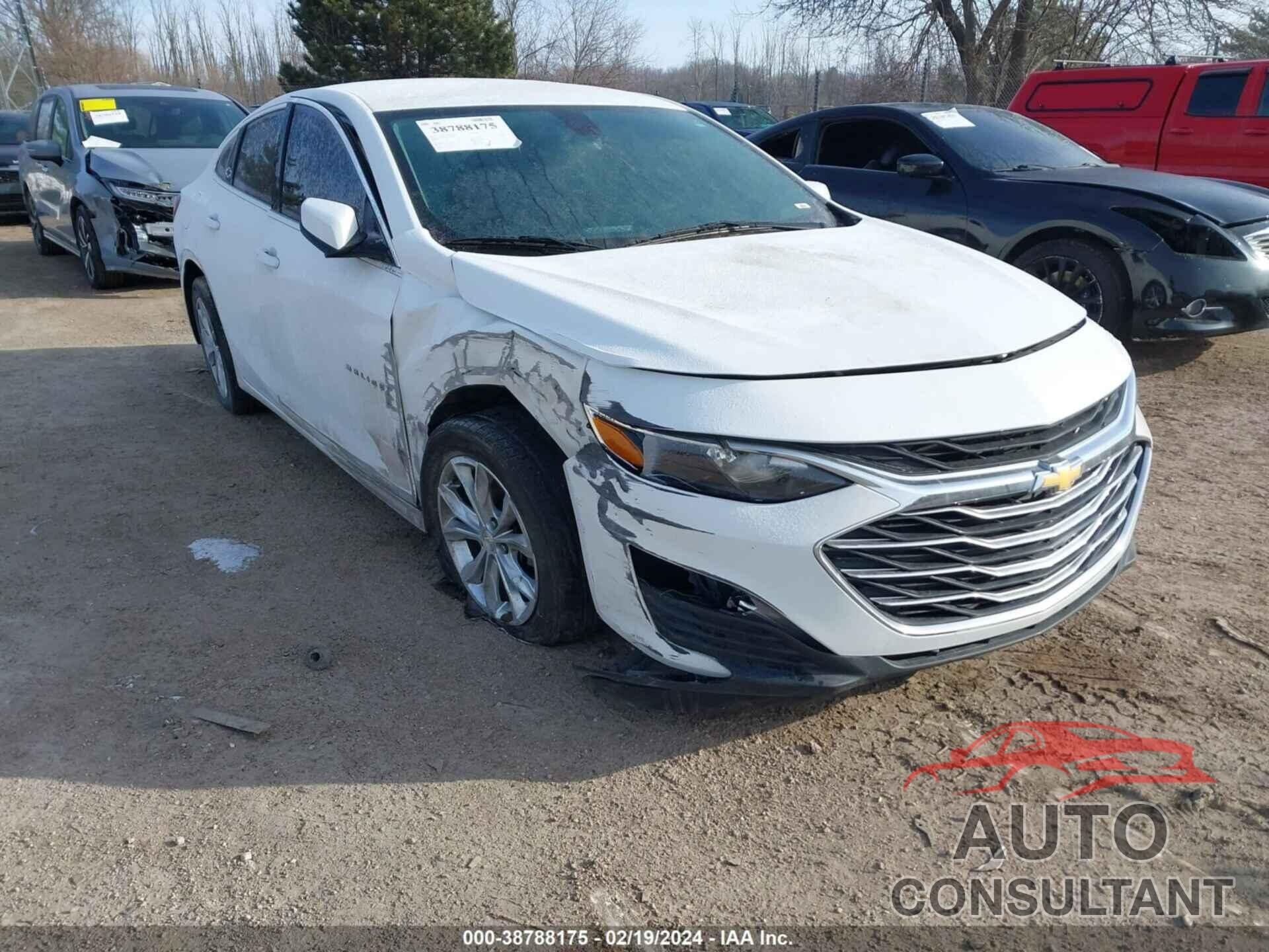 CHEVROLET MALIBU 2019 - 1G1ZD5ST5KF155135