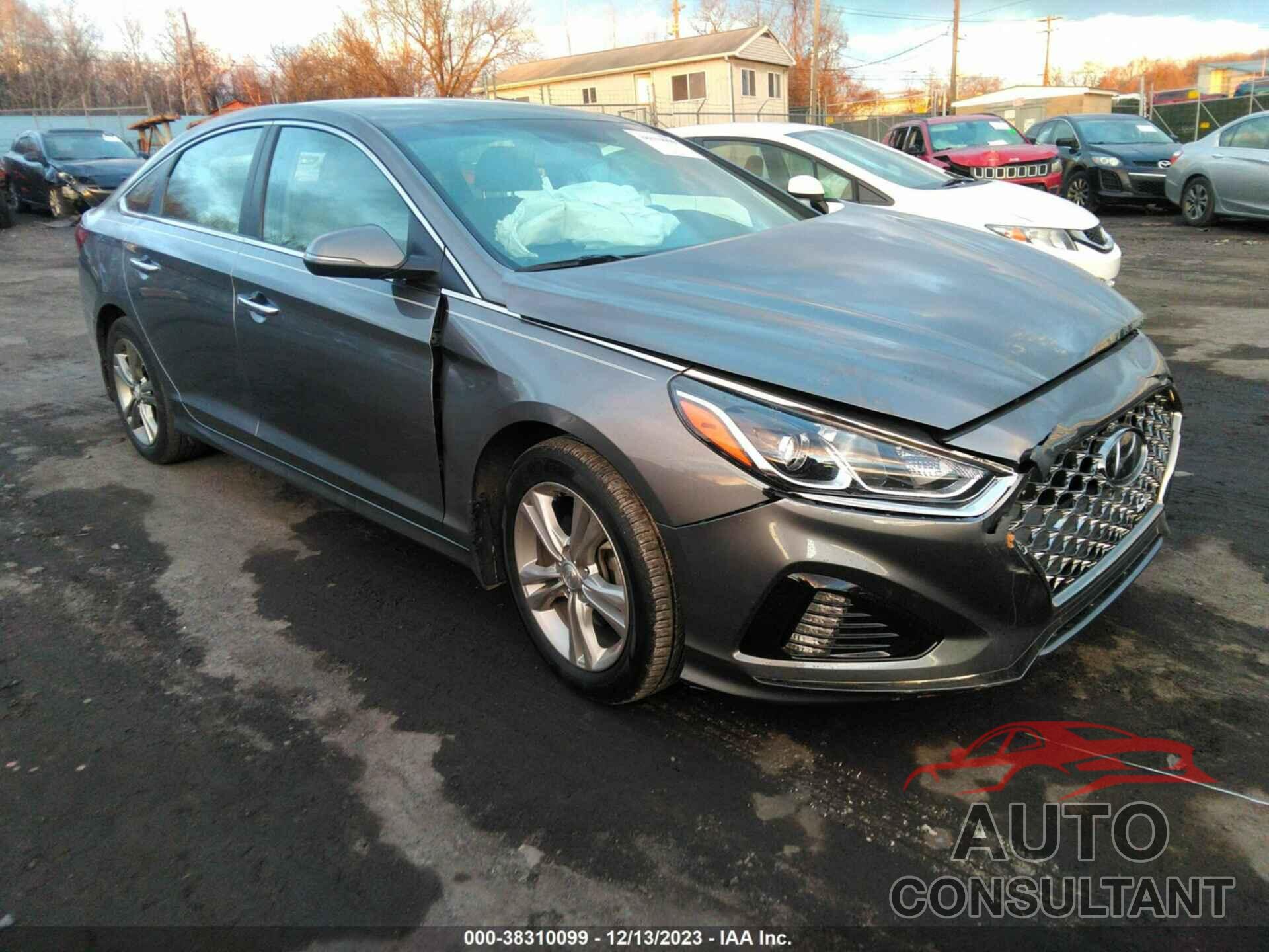 HYUNDAI SONATA 2019 - 5NPE34AF5KH761782