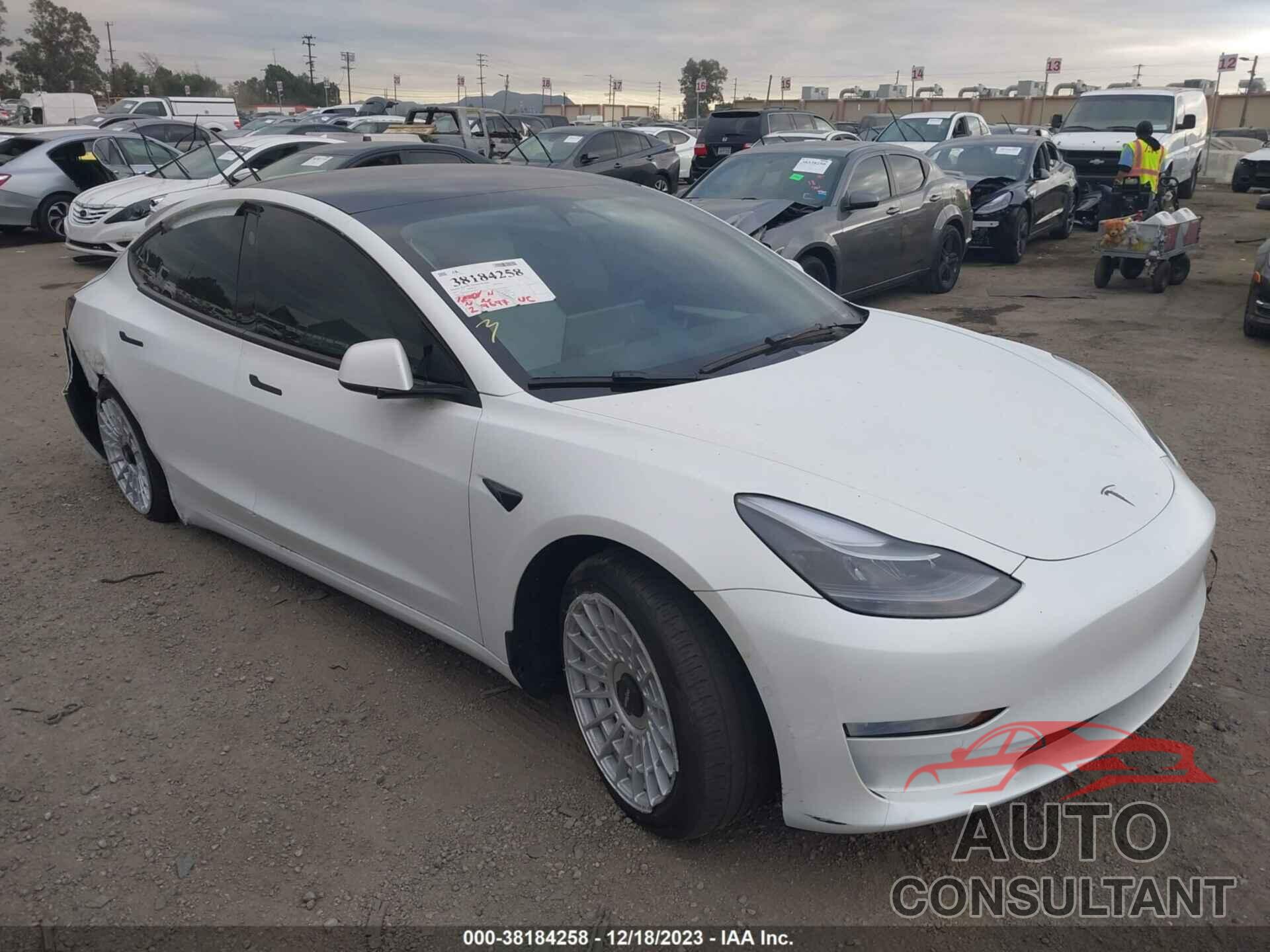 TESLA MODEL 3 2022 - 5YJ3E1EBXNF266374