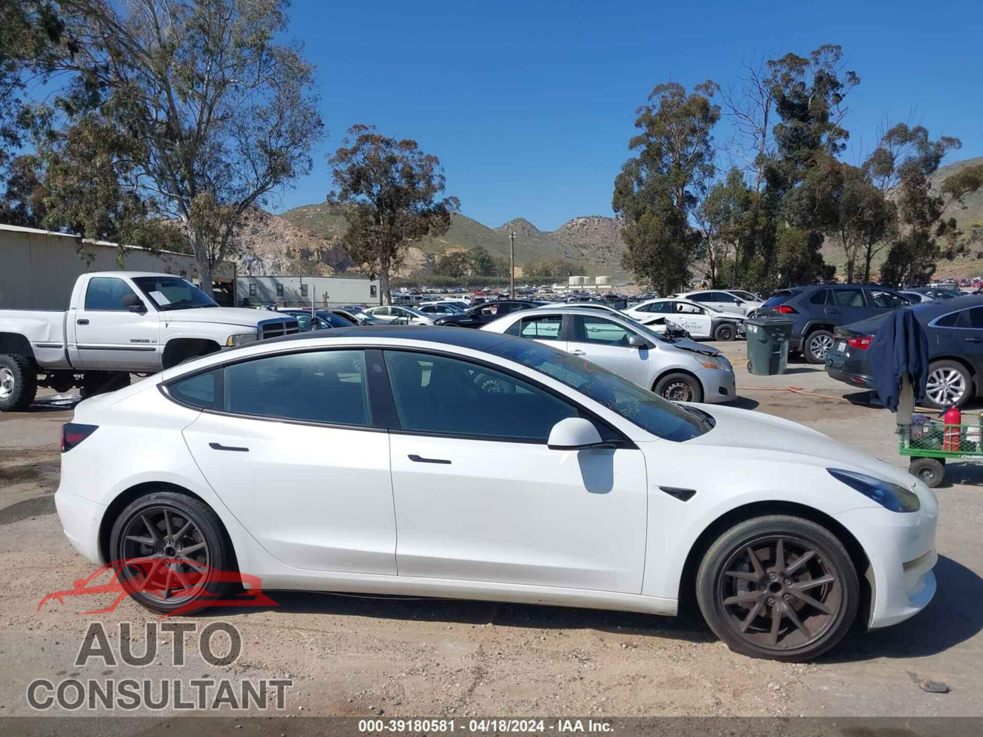 TESLA MODEL 3 2021 - 5YJ3E1EA6MF939649