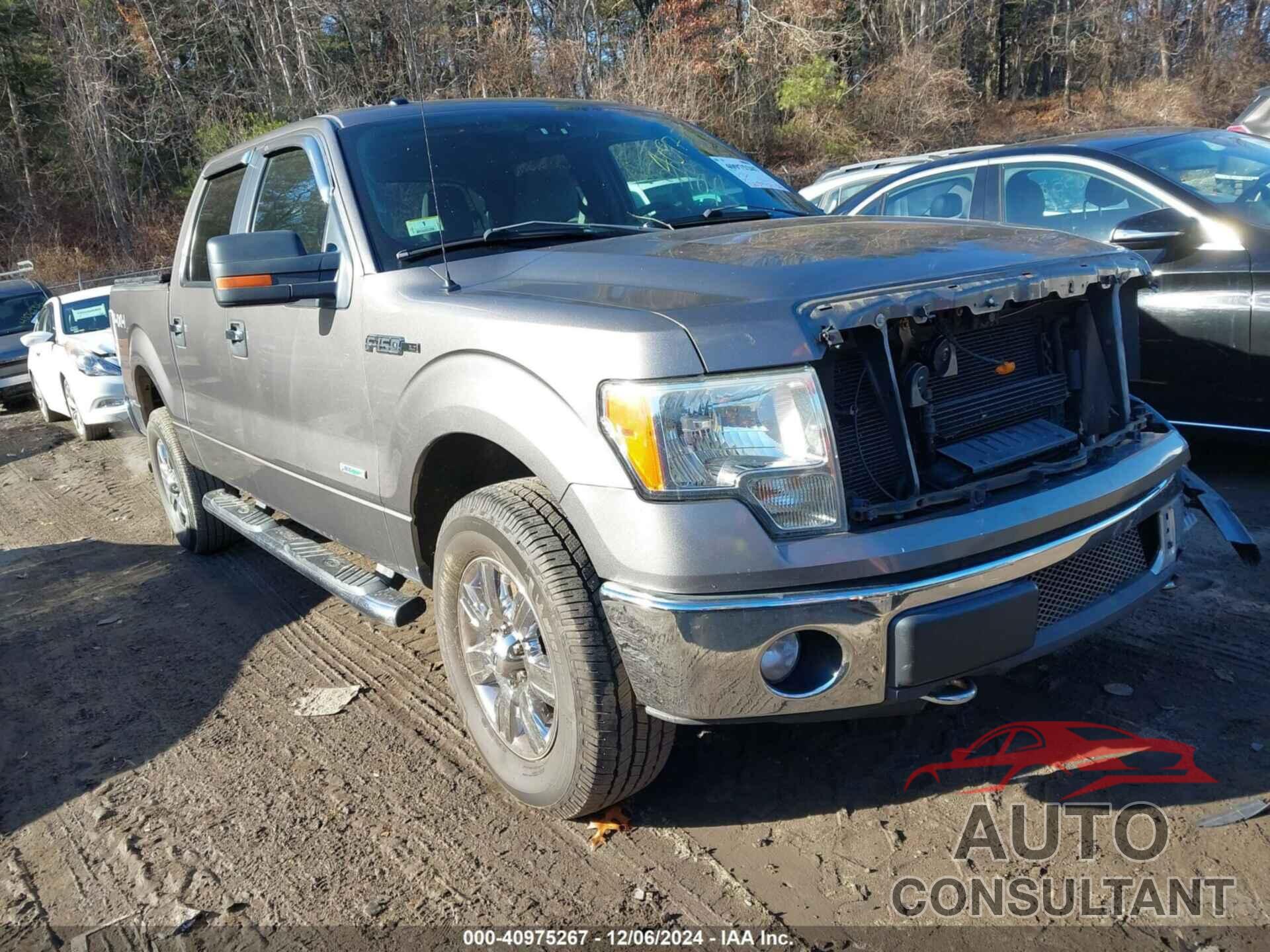 FORD F-150 2011 - 1FTFW1ETXBFC36575