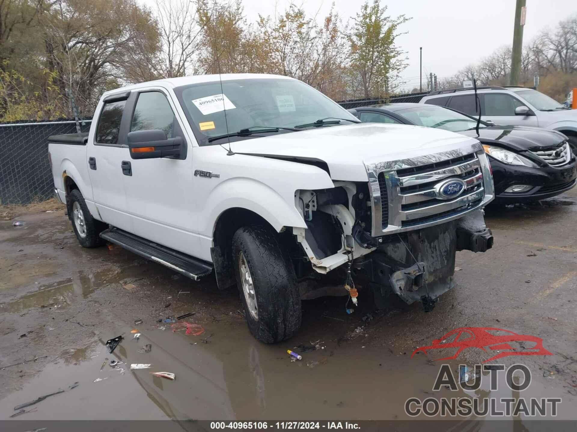 FORD F-150 2010 - 1FTEW1C87AFB03779