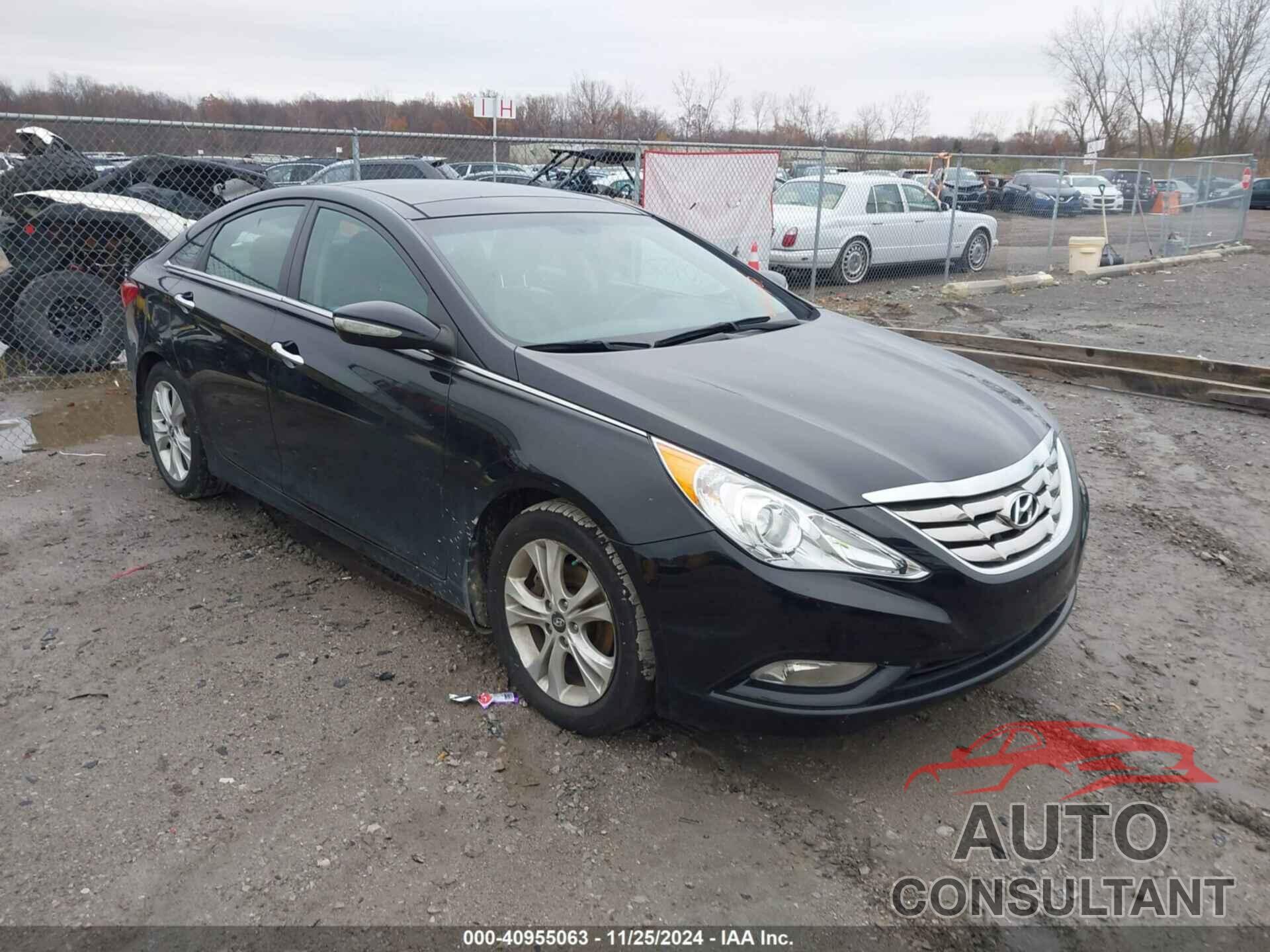 HYUNDAI SONATA 2013 - 5NPEC4AC9DH614471