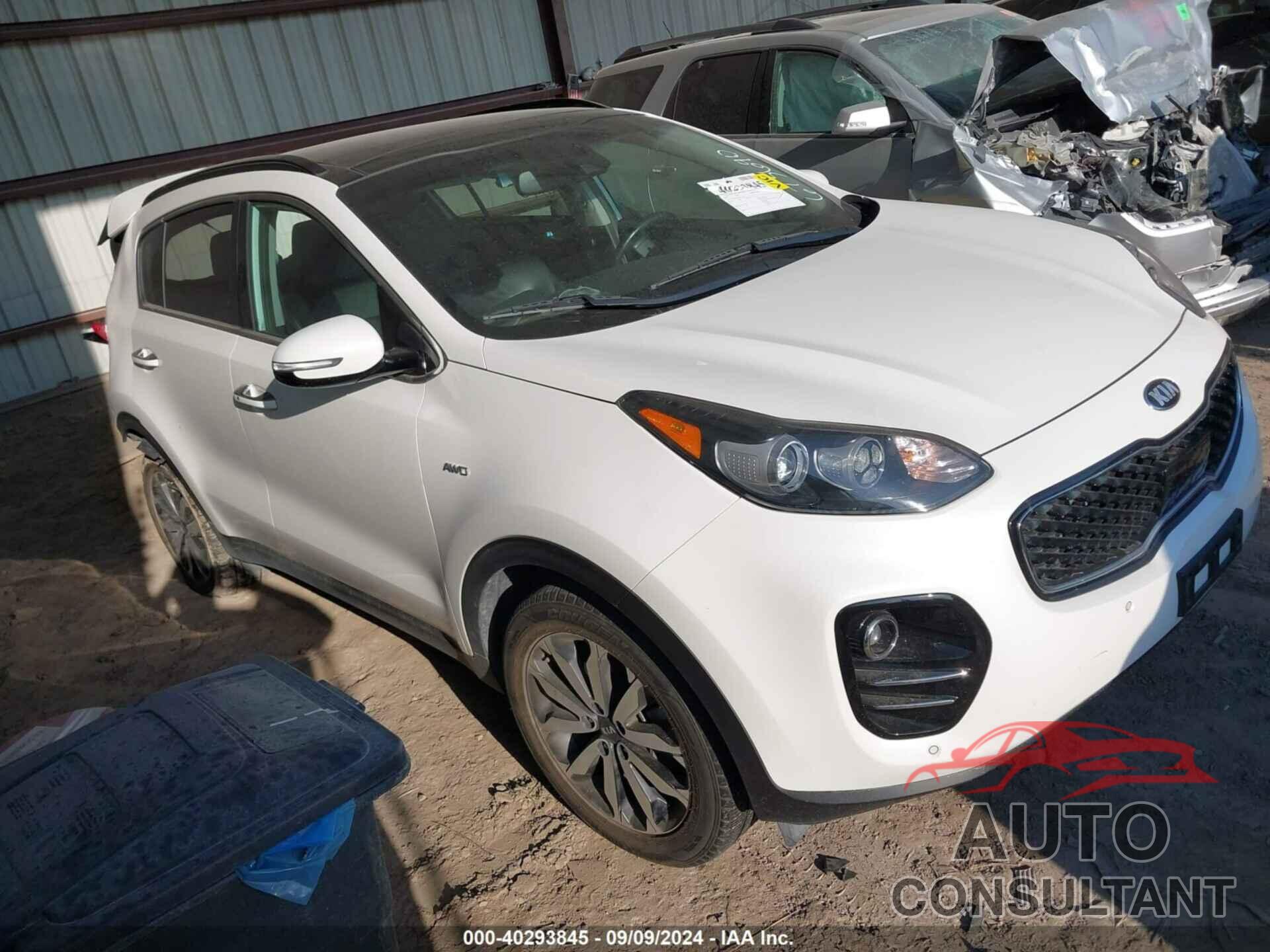 KIA SPORTAGE 2019 - KNDPNCAC6K7547164