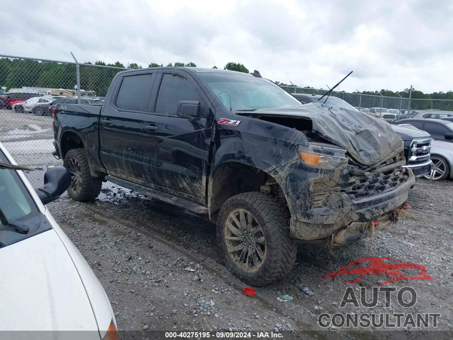 CHEVROLET SILVERADO 1500 2022 - 3GCPDCEK4NG525368