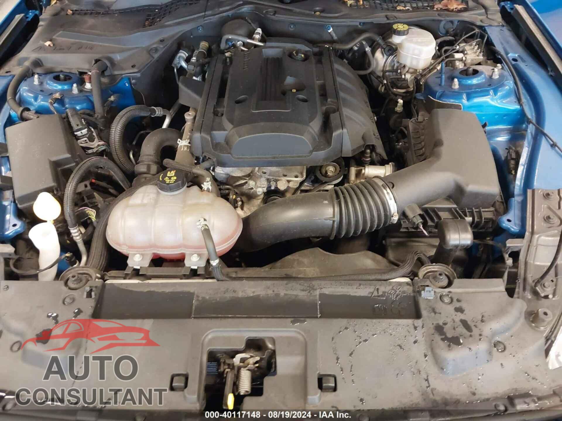 FORD MUSTANG 2019 - 1FA6P8TH2K5180079