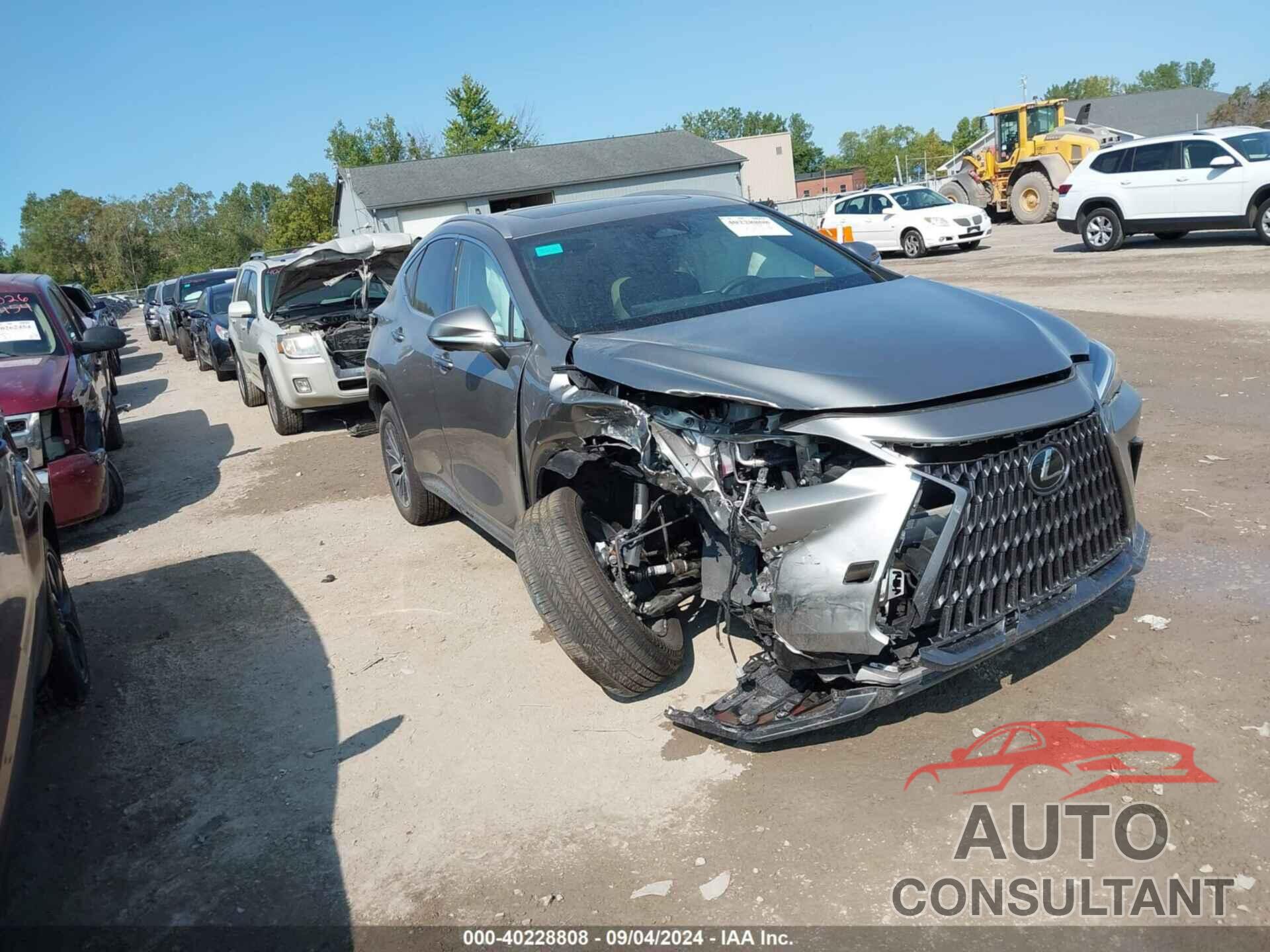 LEXUS NX 350 2024 - 2T2GGCEZ0RC053377