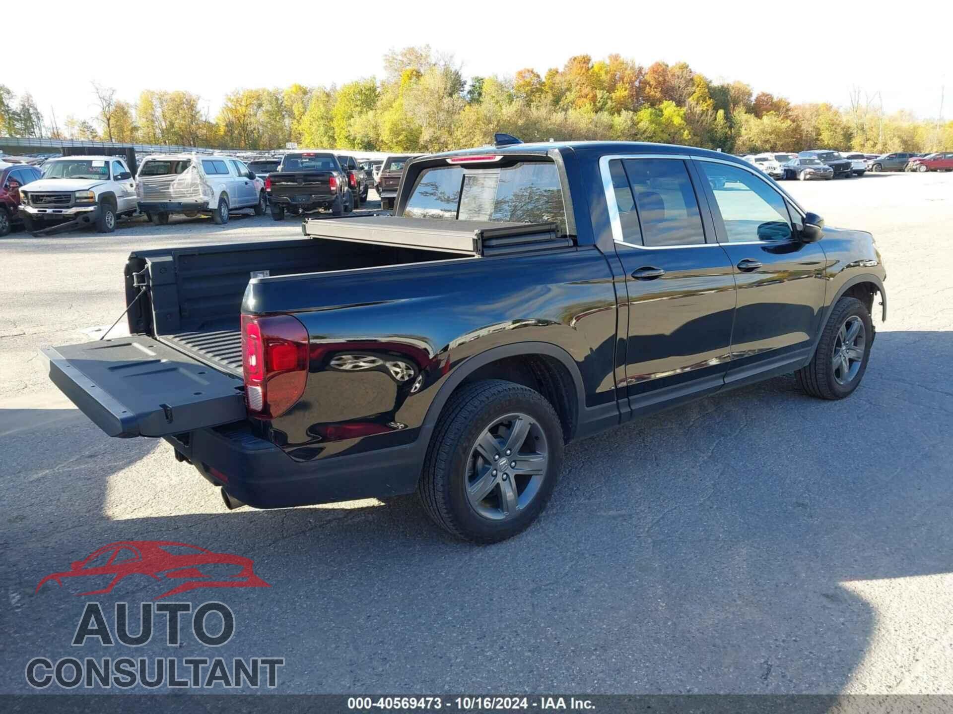 HONDA RIDGELINE 2023 - 5FPYK3F52PB025860