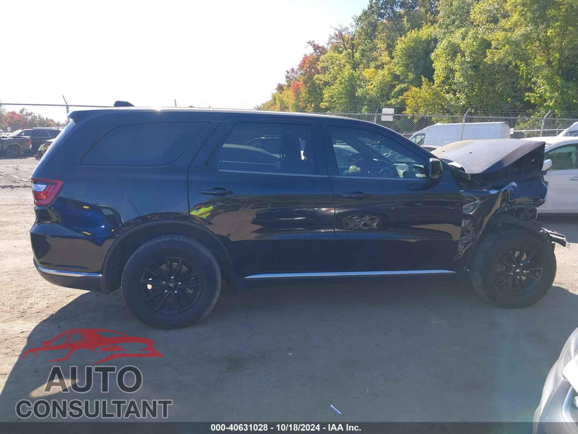 DODGE DURANGO 2019 - 1C4RDJAG5KC617294