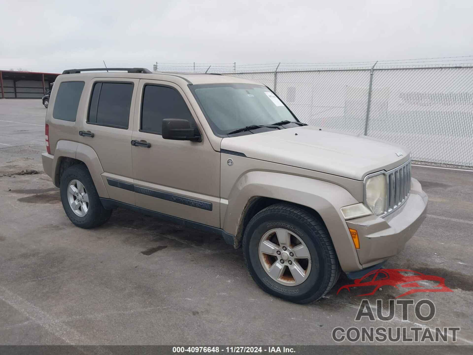 JEEP LIBERTY 2010 - 1J4PN2GK6AW141196