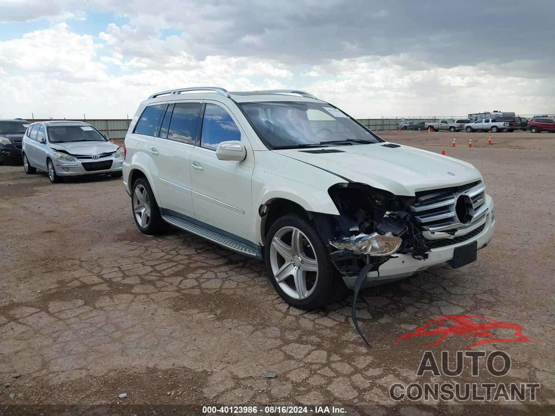 MERCEDES-BENZ GL 550 2010 - 4JGBF8GE0AA596595