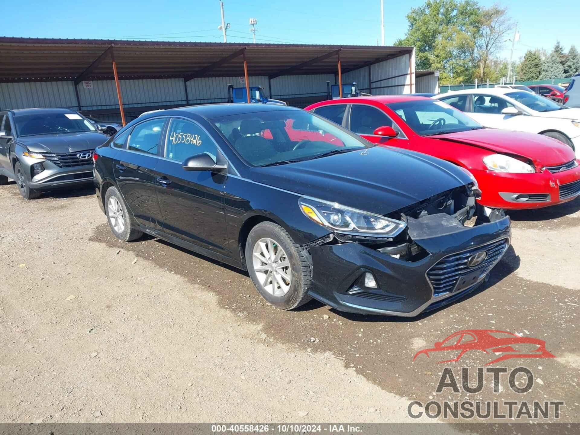 HYUNDAI SONATA 2019 - 5NPE24AF9KH775350