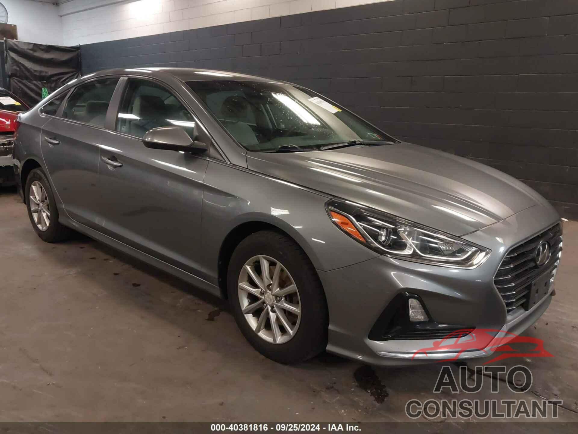 HYUNDAI SONATA 2019 - 5NPE24AF1KH740172