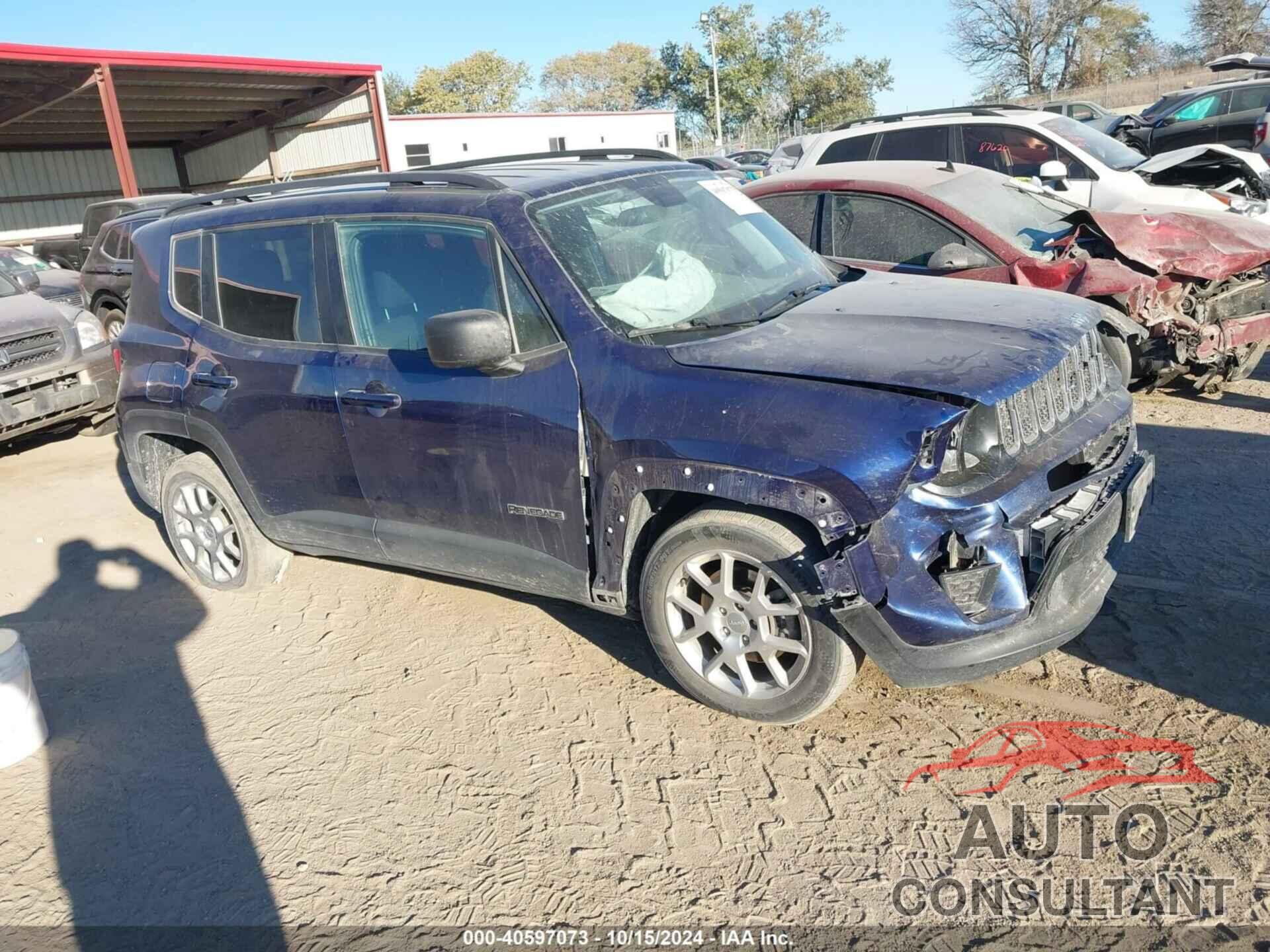 JEEP RENEGADE 2020 - ZACNJAAB4LPL74048