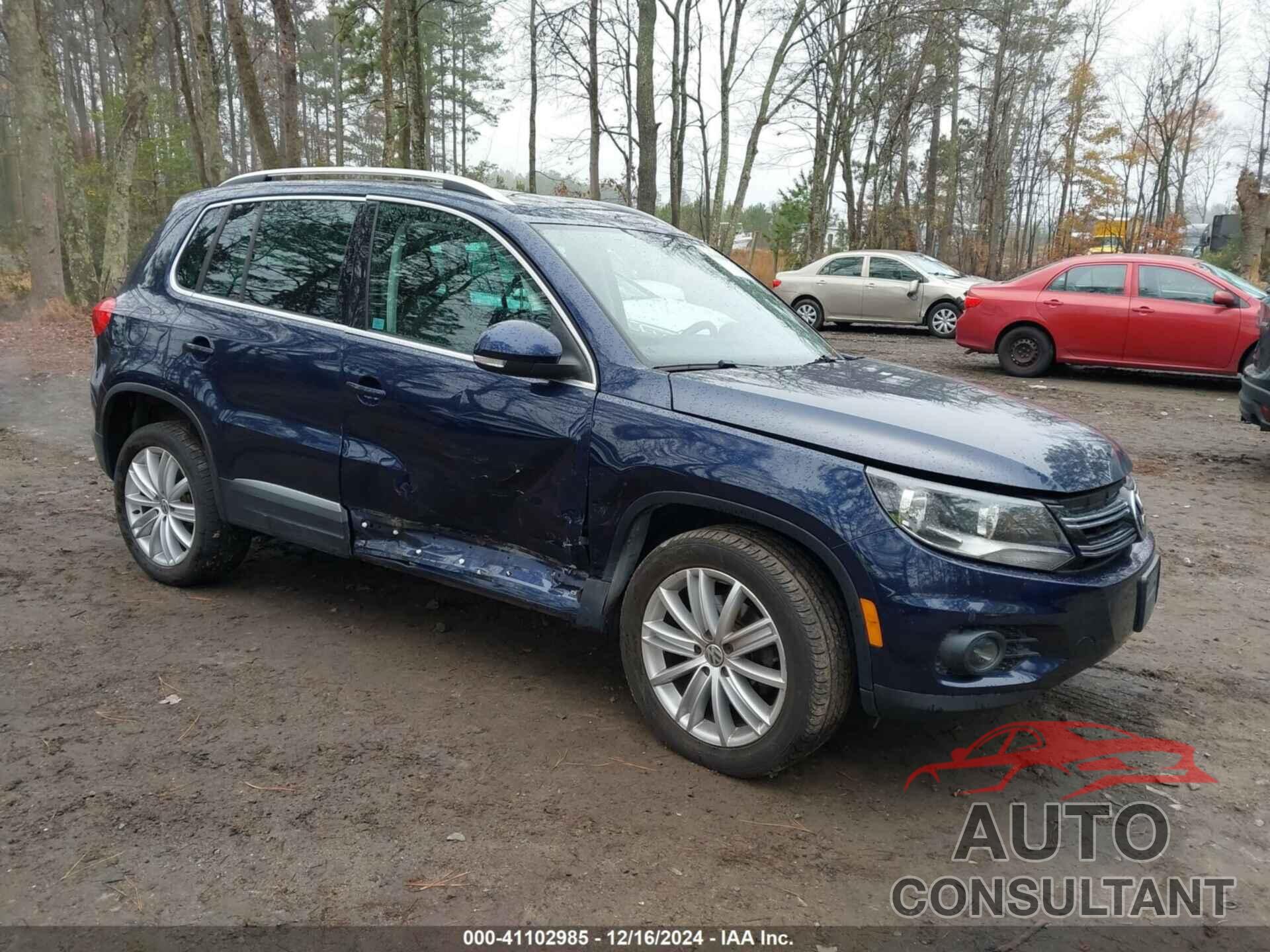 VOLKSWAGEN TIGUAN 2013 - WVGBV7AX1DW509981