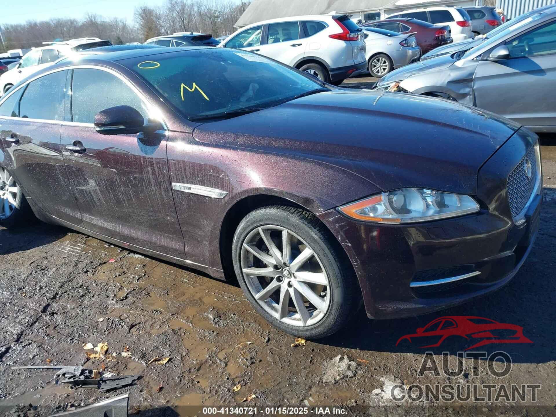 JAGUAR XJ 2013 - SAJWJ1CD2D8V51132