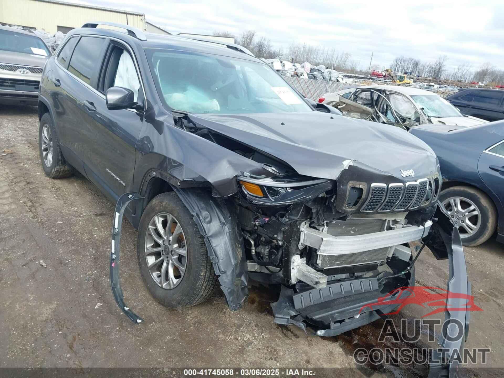 JEEP CHEROKEE 2019 - 1C4PJMLB2KD101505