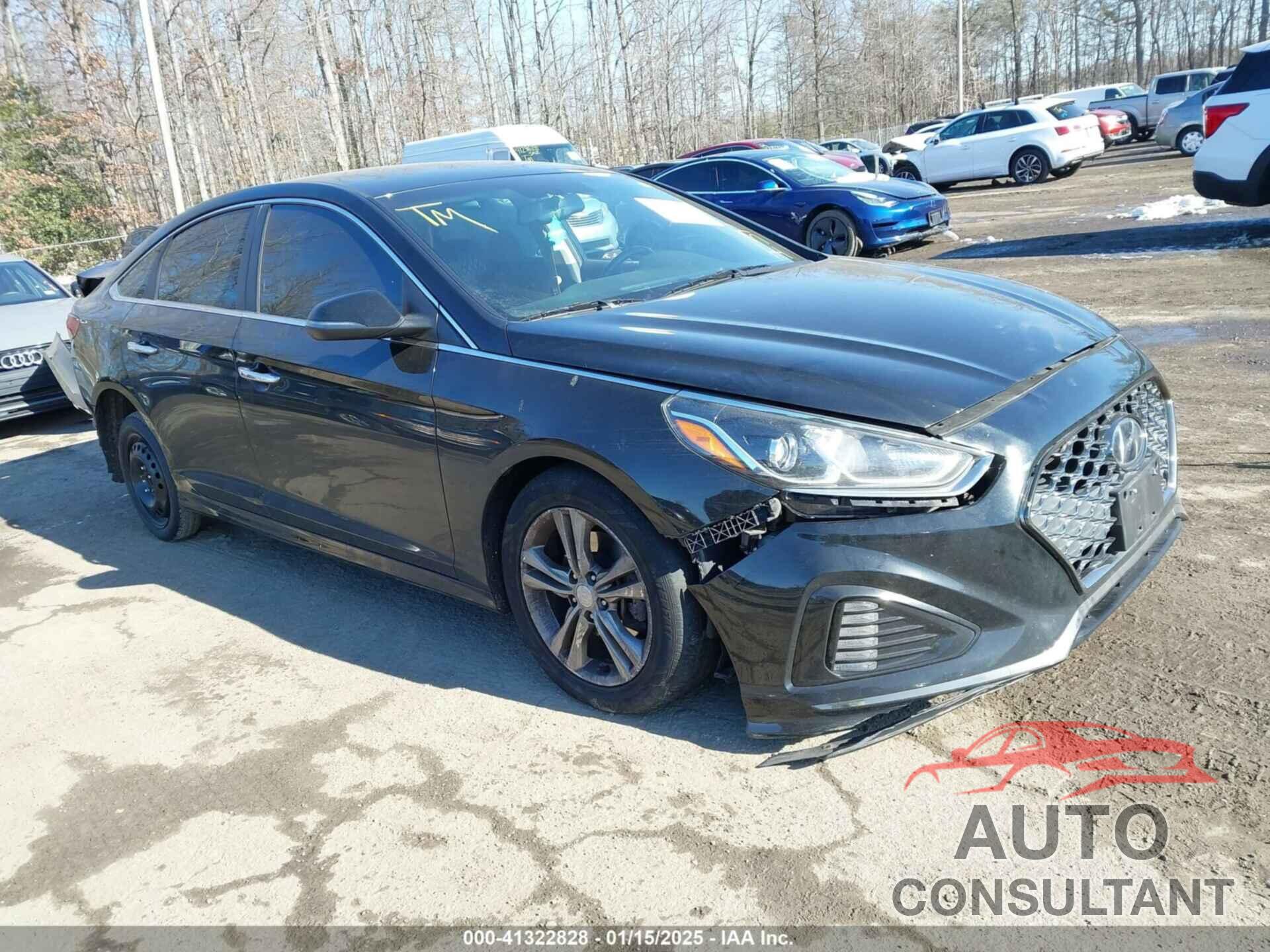 HYUNDAI SONATA 2019 - 5NPE34AFXKH761549