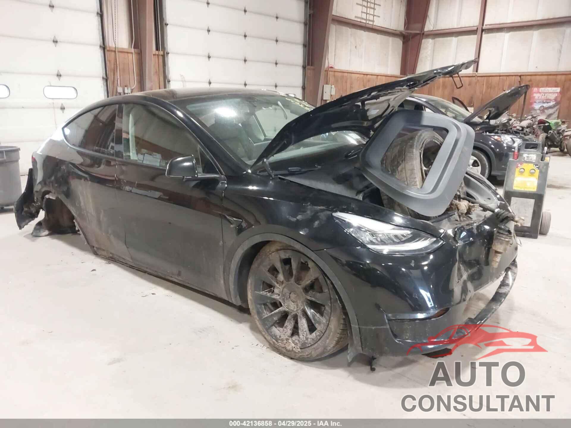 TESLA MODEL Y 2022 - 7SAYGDEE0NF342215