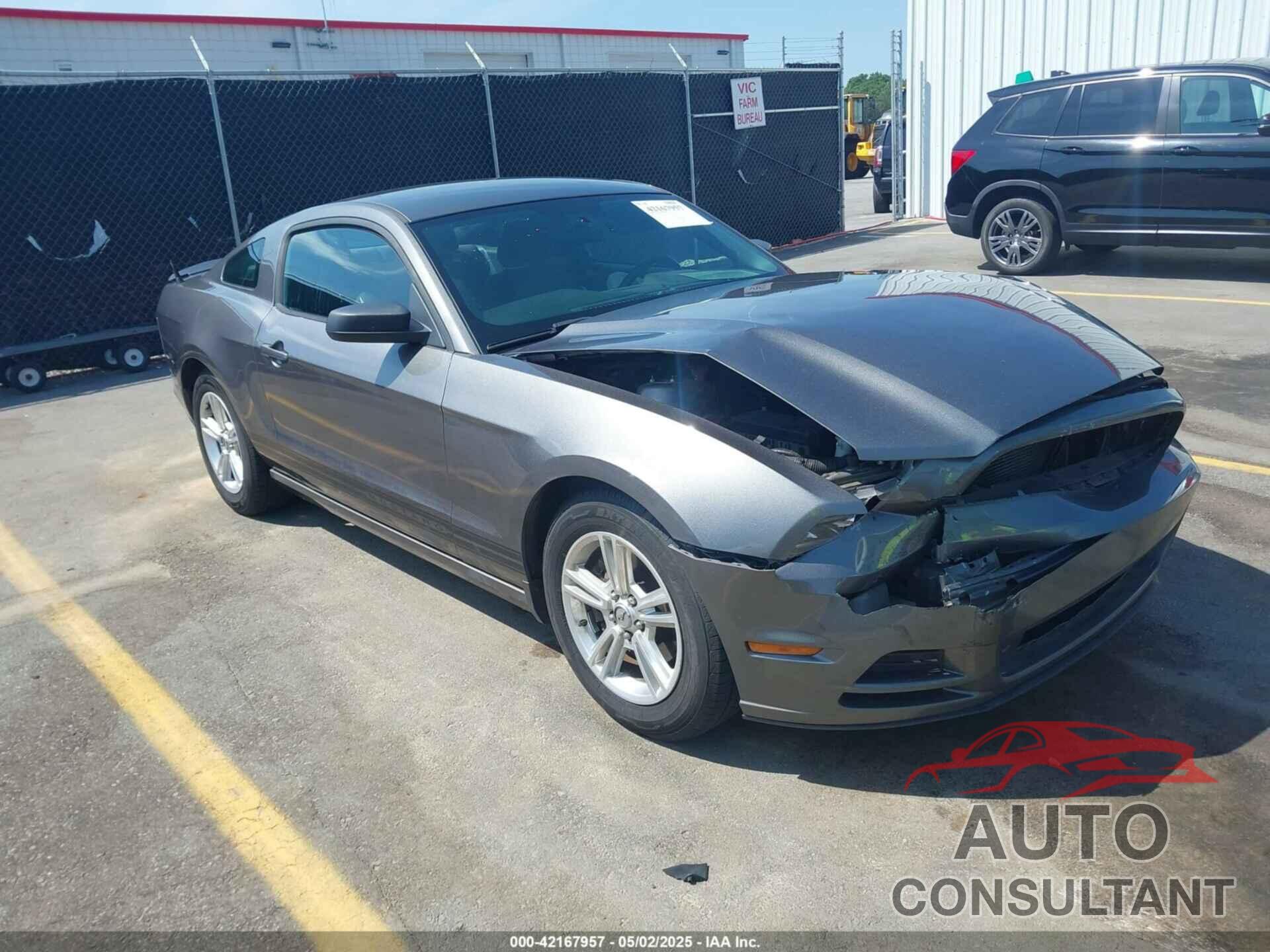 FORD MUSTANG 2013 - 1ZVBP8AM5D5225864