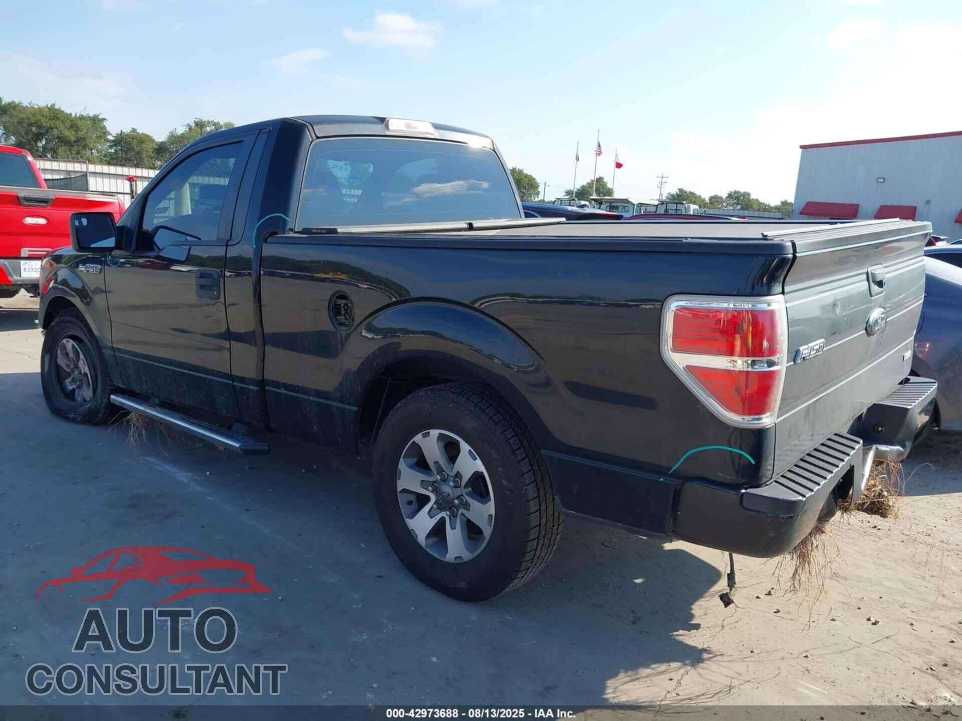 FORD F-150 2013 - 1FTMF1CF4DFD95034
