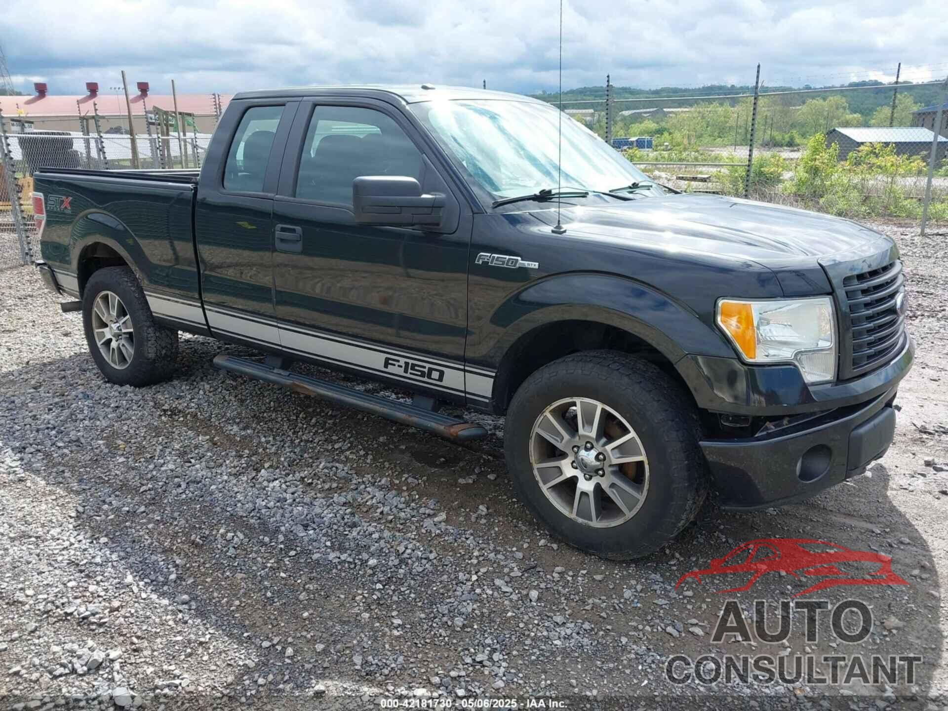 FORD F-150 2014 - 1FTFX1EF4EFC66036
