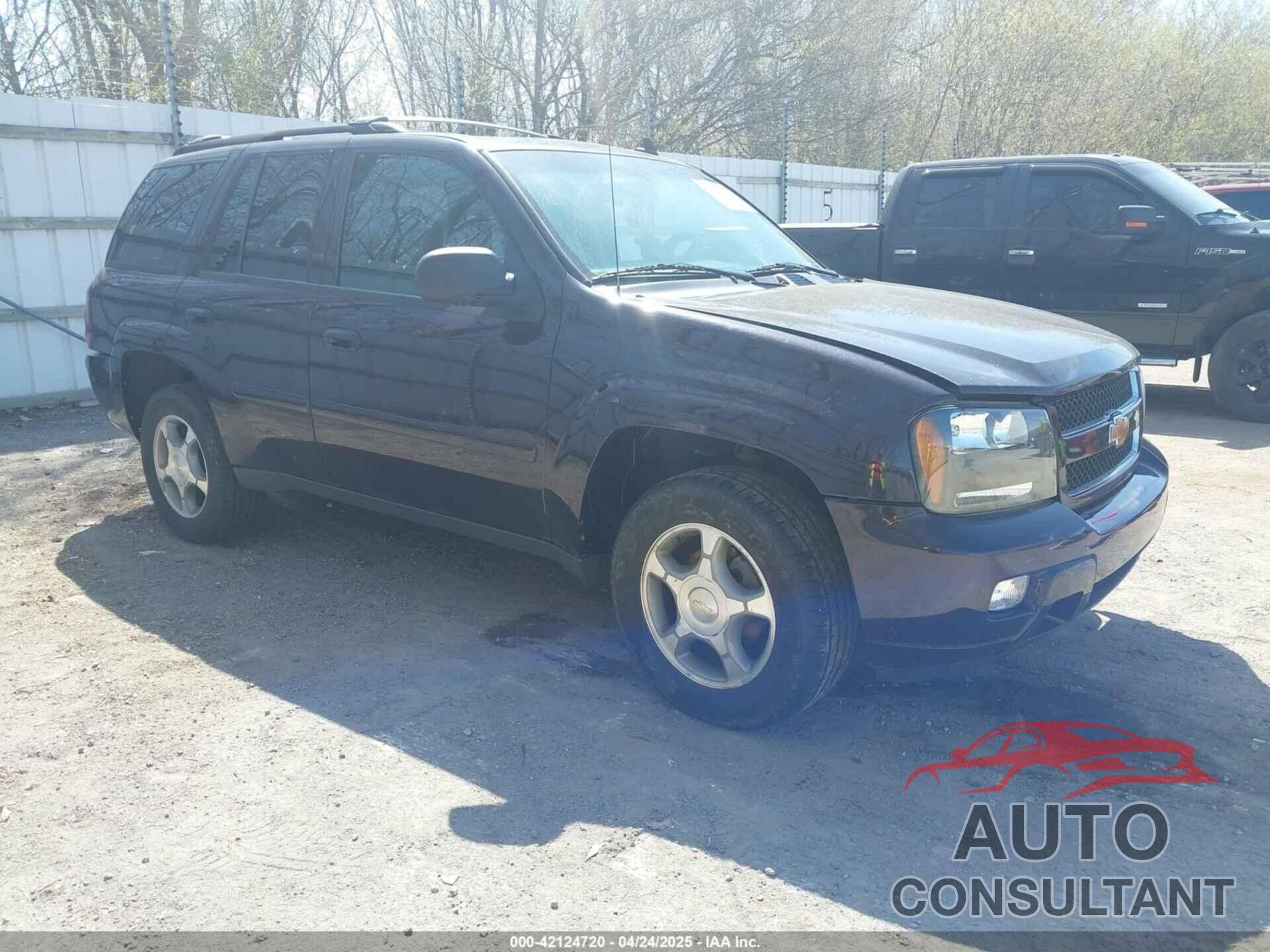 CHEVROLET TRAILBLAZER 2009 - 1GNDT33S092101667