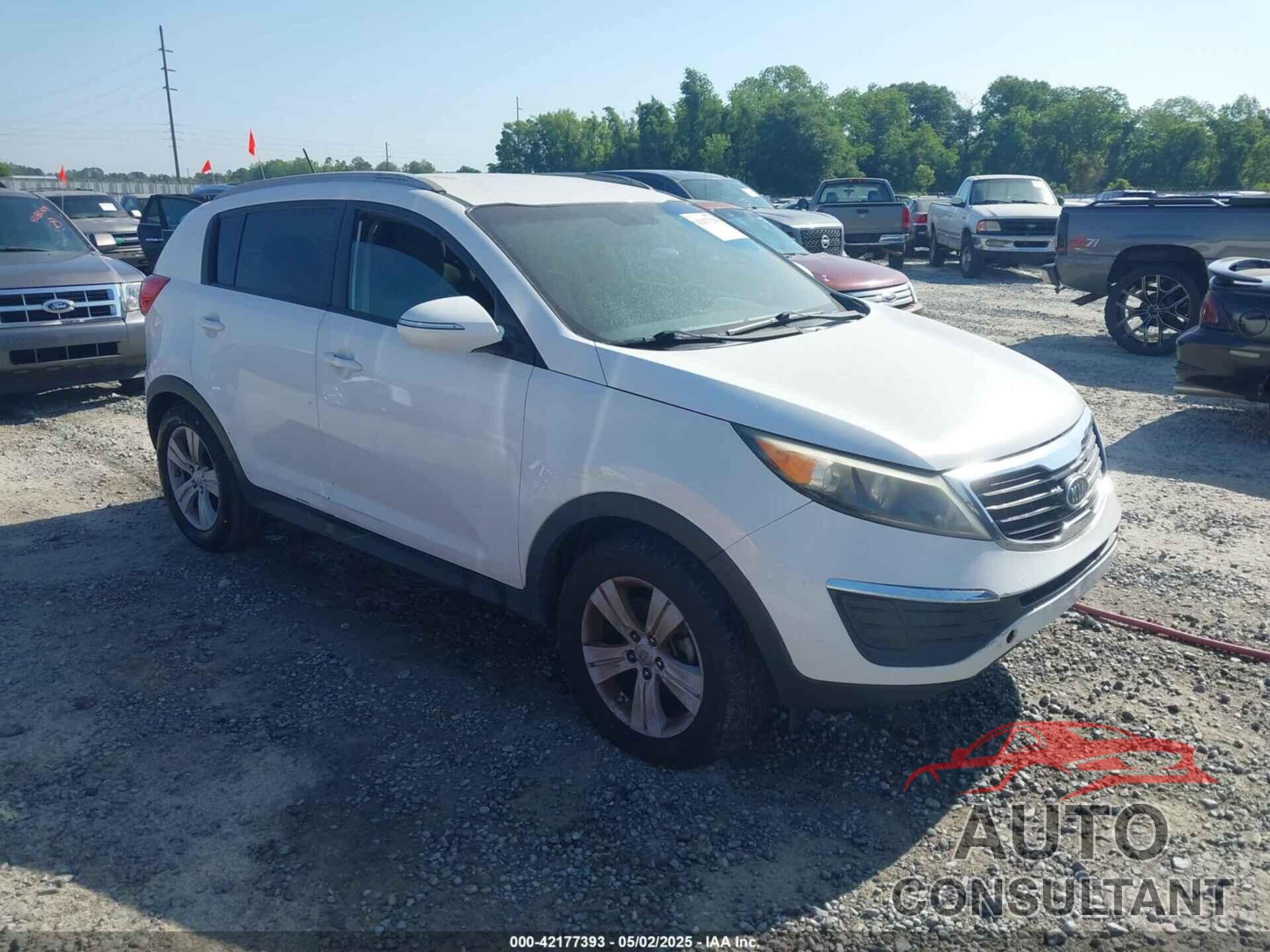 KIA SPORTAGE 2011 - KNDPB3A26B7028812