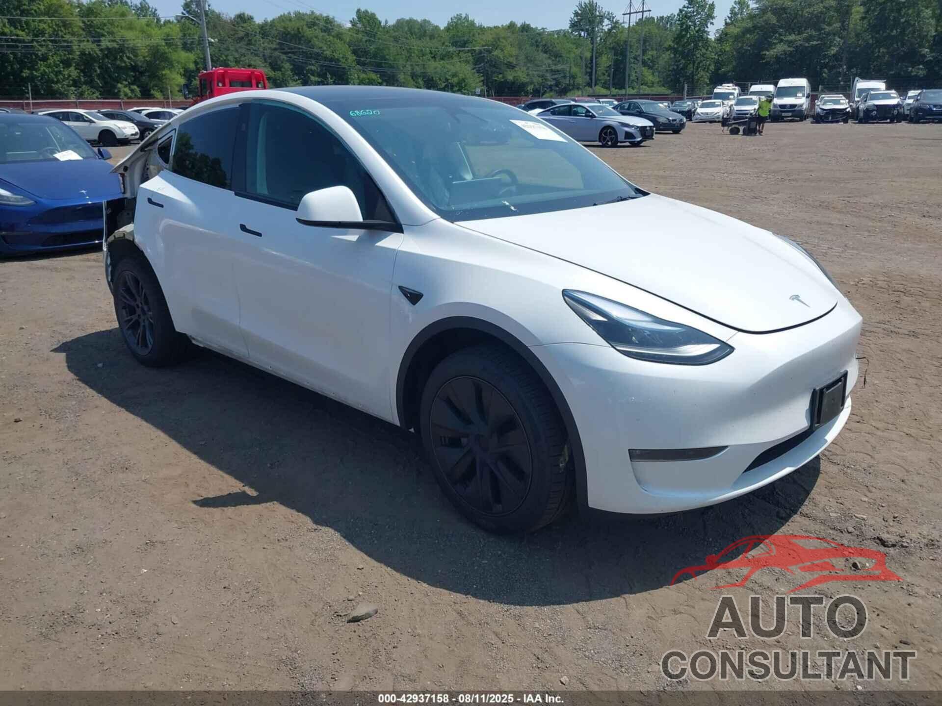 TESLA MODEL Y 2024 - 7SAYGDEEXRA328728