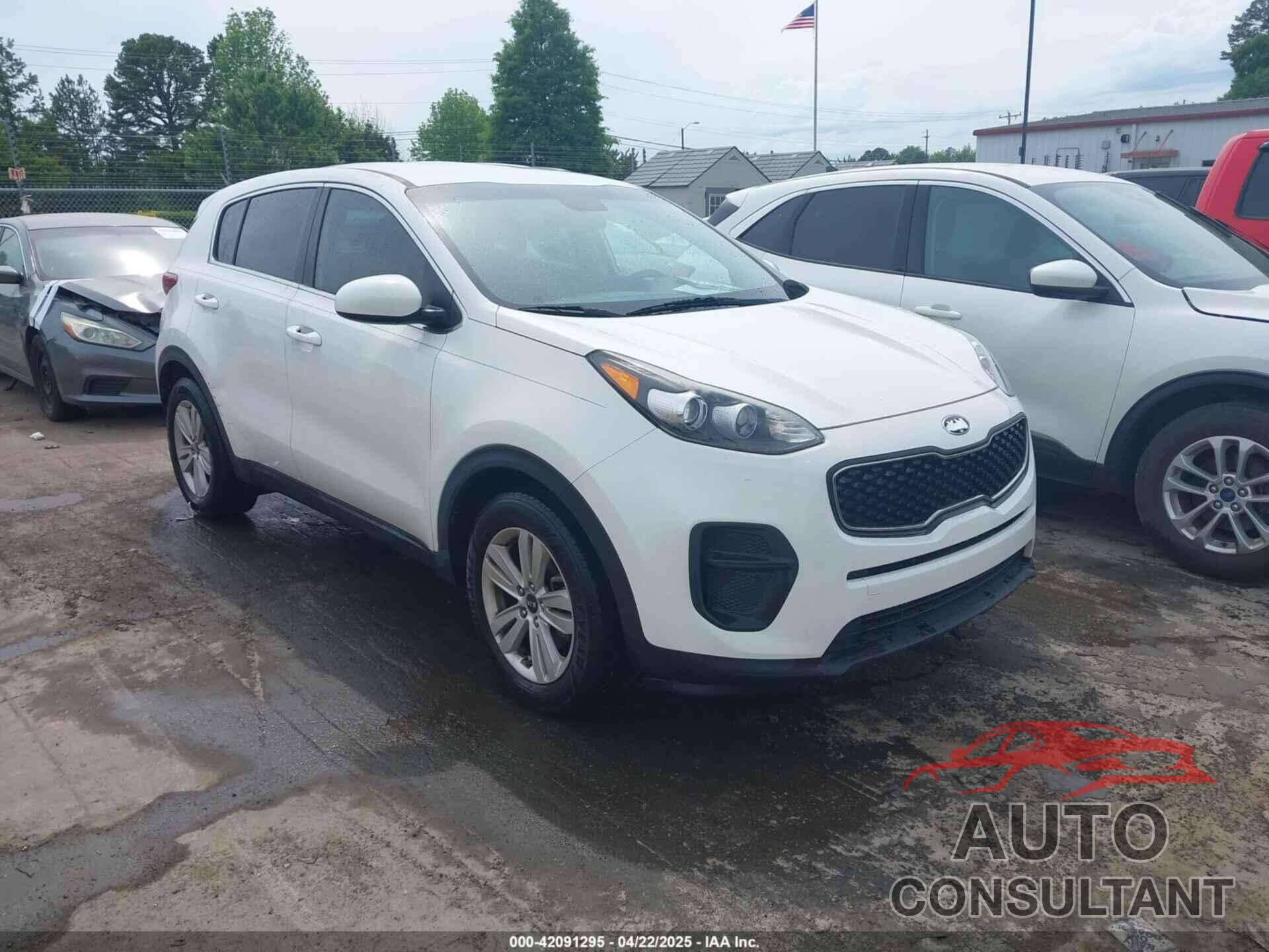 KIA SPORTAGE 2019 - KNDPM3AC6K7617295