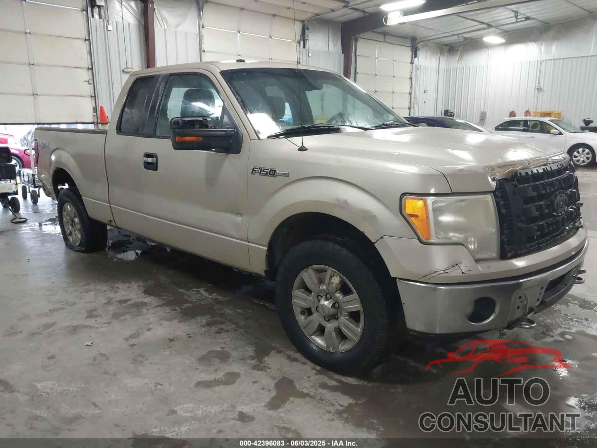 FORD F-150 2009 - 1FTPX14V59KB32033