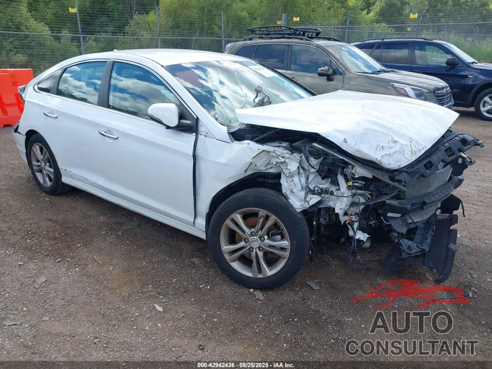HYUNDAI SONATA 2019 - 5NPE34AF2KH805723