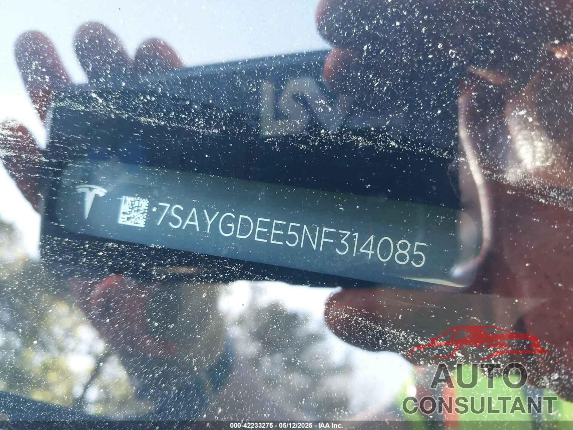 TESLA MODEL Y 2022 - 7SAYGDEE5NF314085
