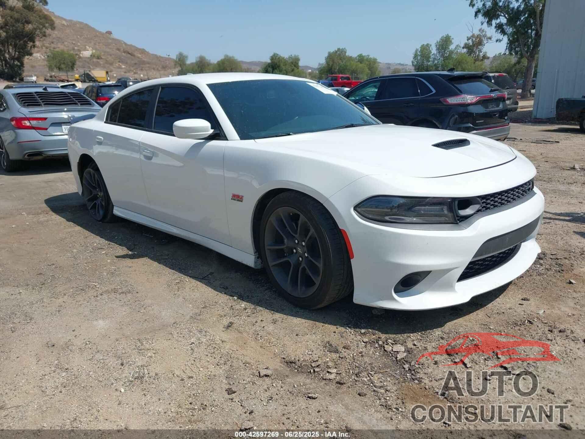 DODGE CHARGER 2020 - 2C3CDXGJ0LH242350