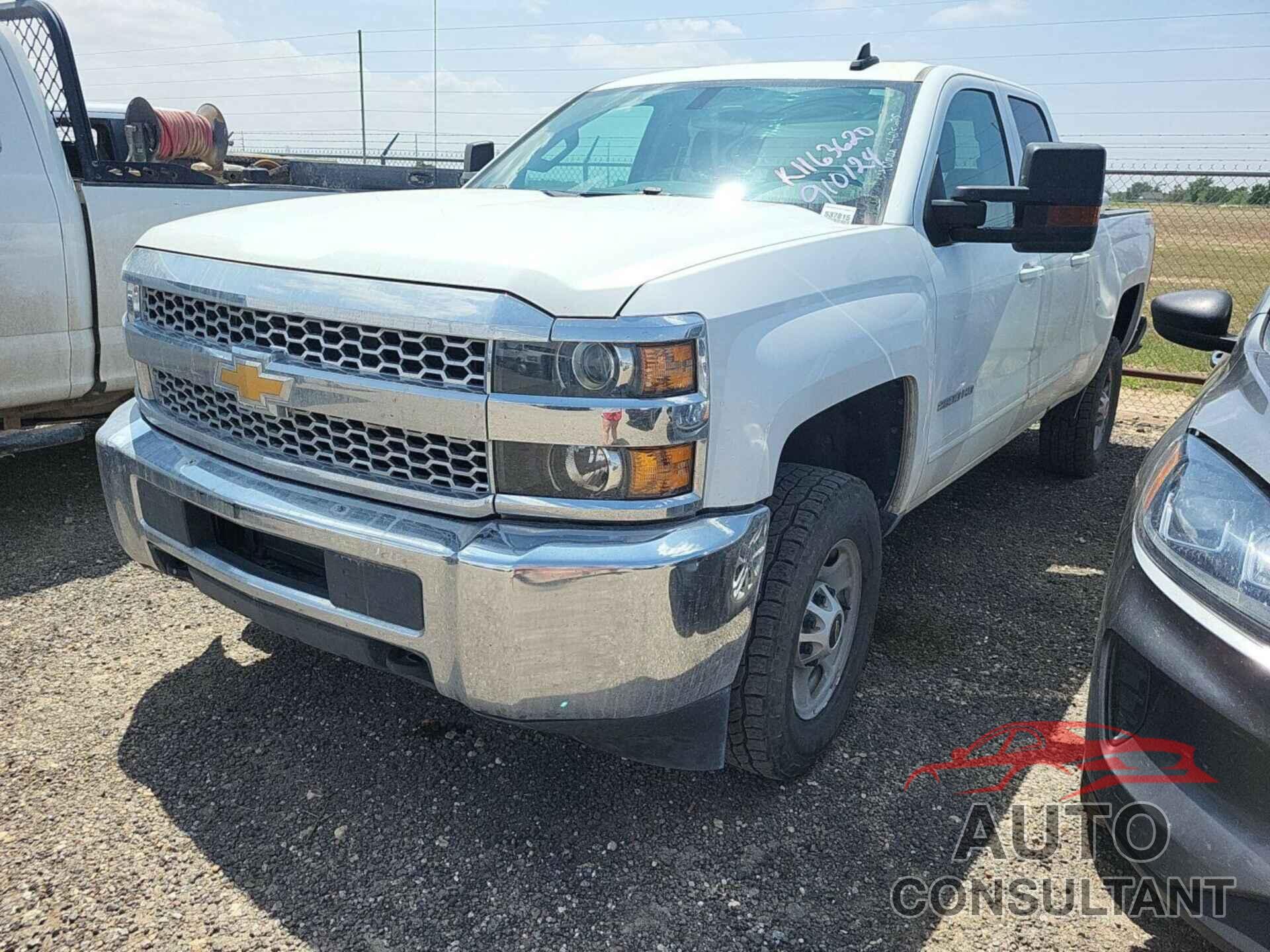 CHEVROLET SILVERADO 2019 - 2GC2KSEG4K1163620
