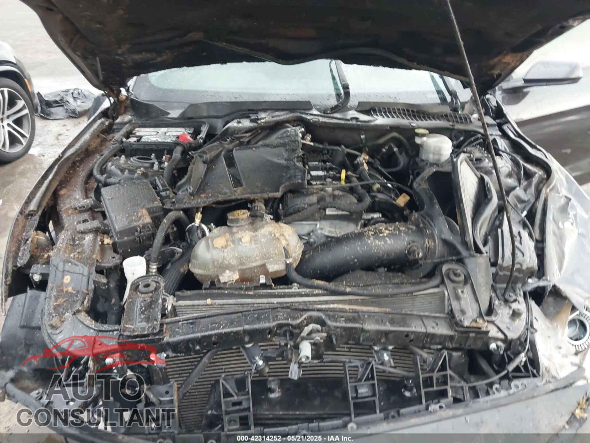 FORD MUSTANG 2022 - 1FA6P8TH2N5113664