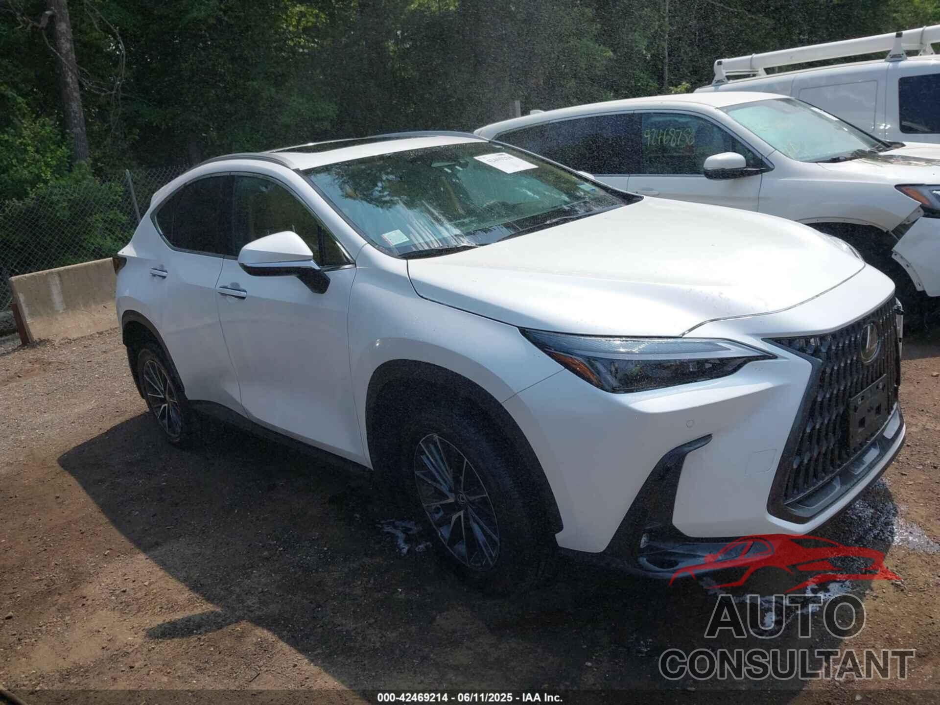LEXUS NX 350H 2024 - 2T2GKCEZ2RC020010
