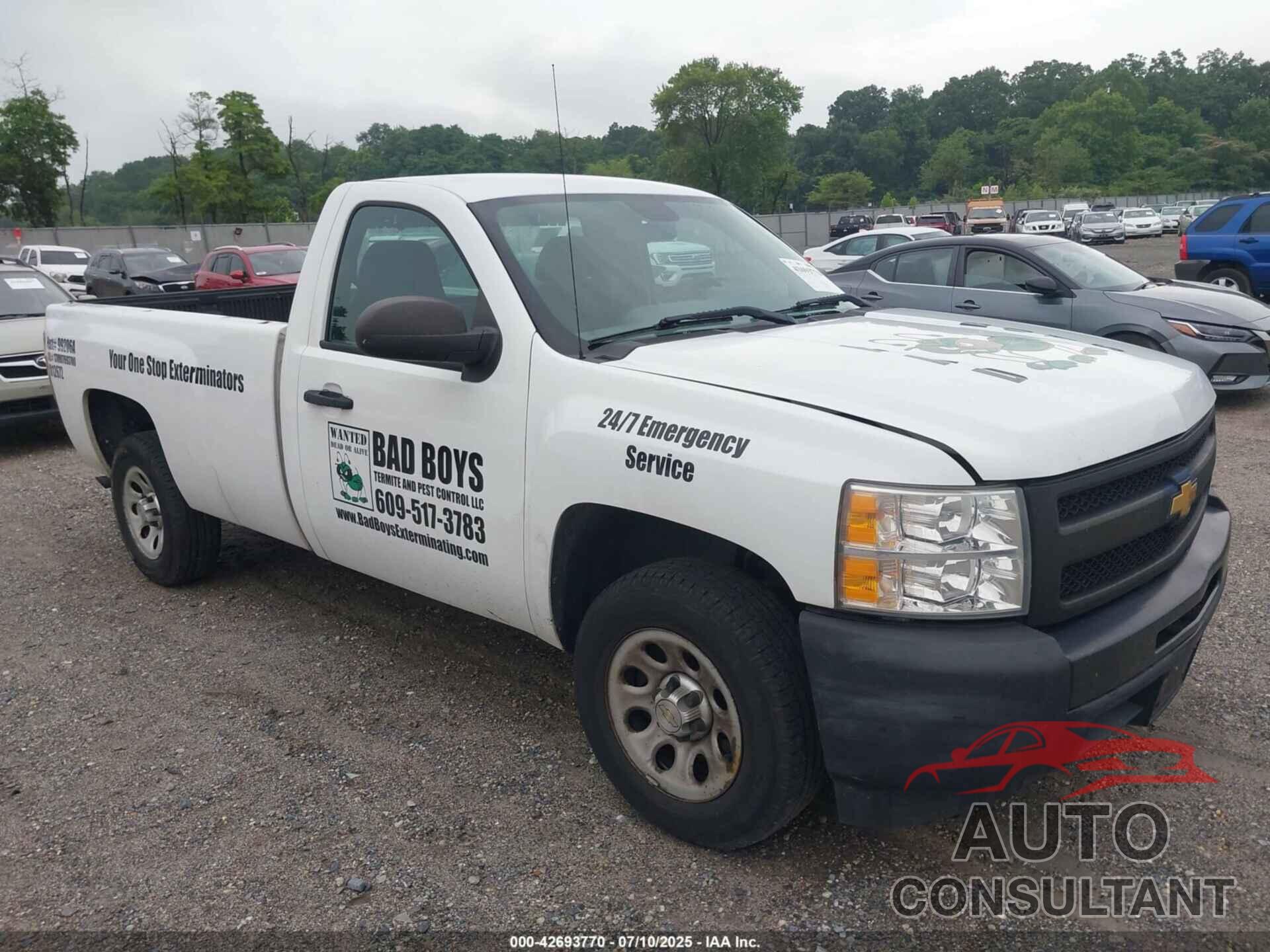 CHEVROLET SILVERADO 2012 - 1GCNCPEX4CZ314018