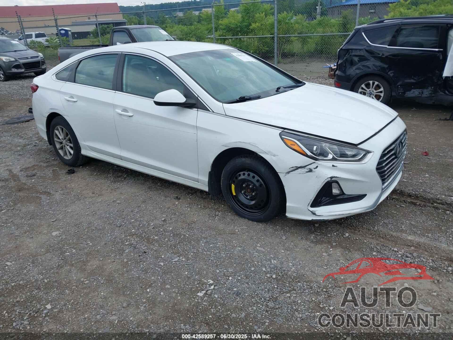 HYUNDAI SONATA 2019 - 5NPE24AF7KH808863