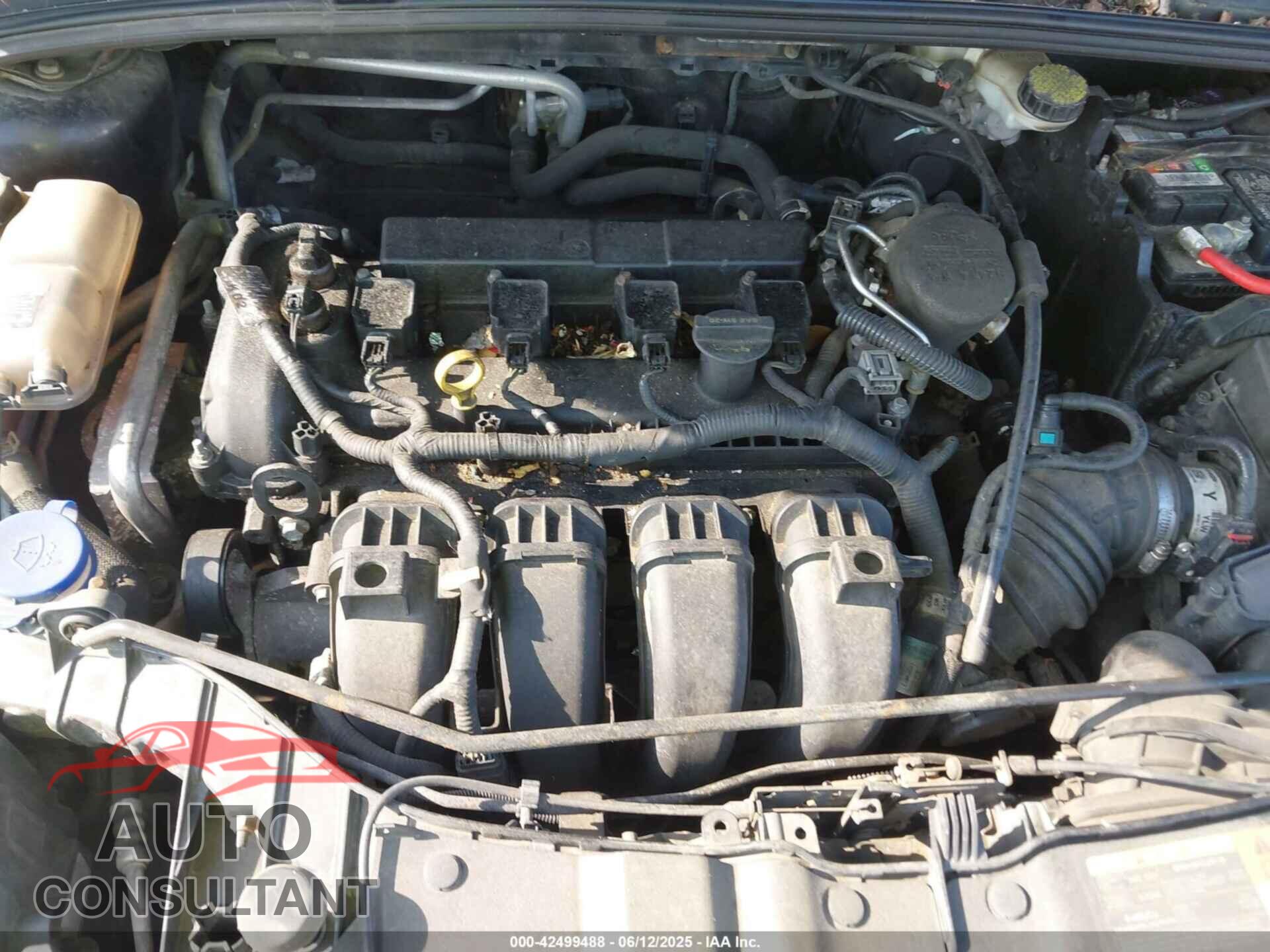 FORD FOCUS 2012 - 1FAHP3F28CL114345