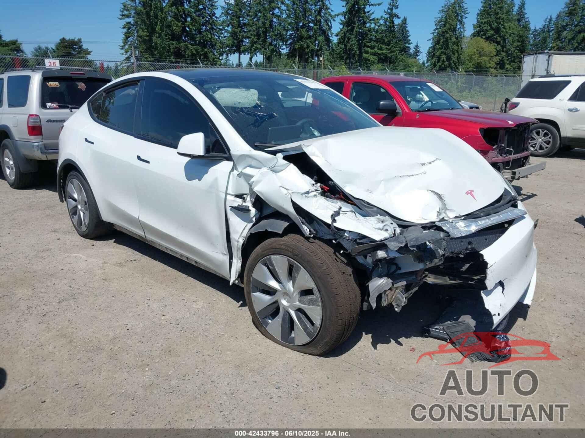 TESLA MODEL Y 2022 - 7SAYGDEE9NF509655