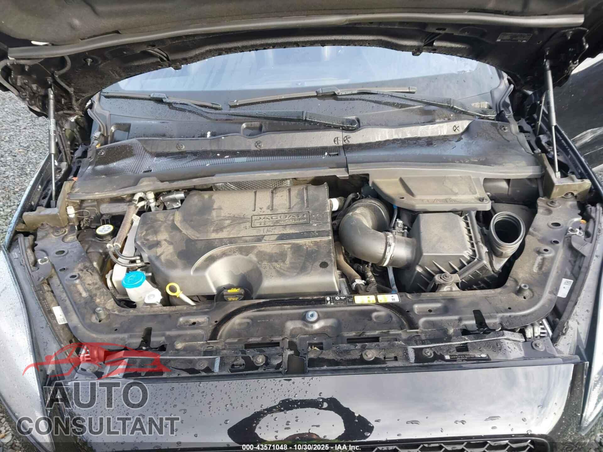 JAGUAR E-PACE 2020 - SADFK2FX7L1002187